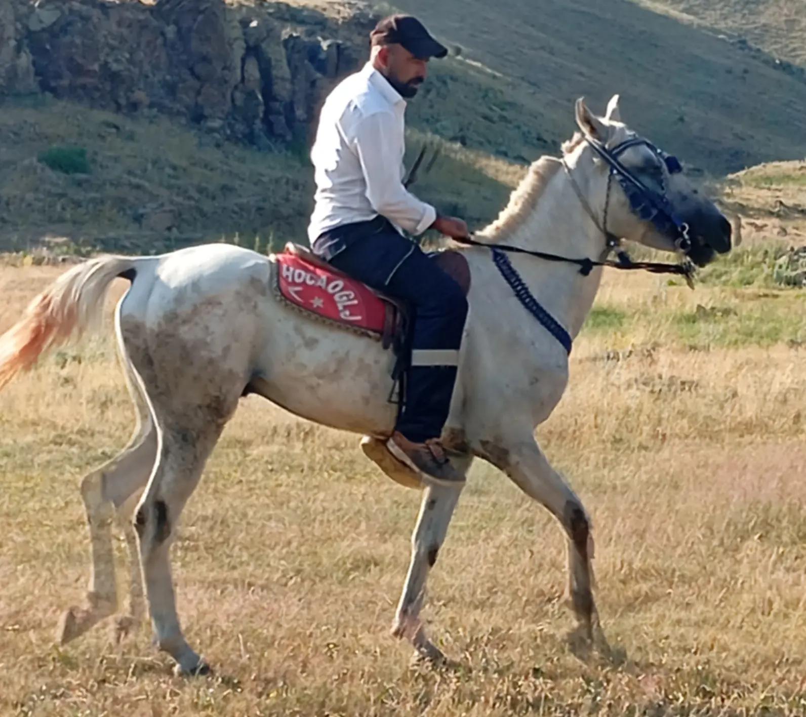 @&ccedil;atlı şaho