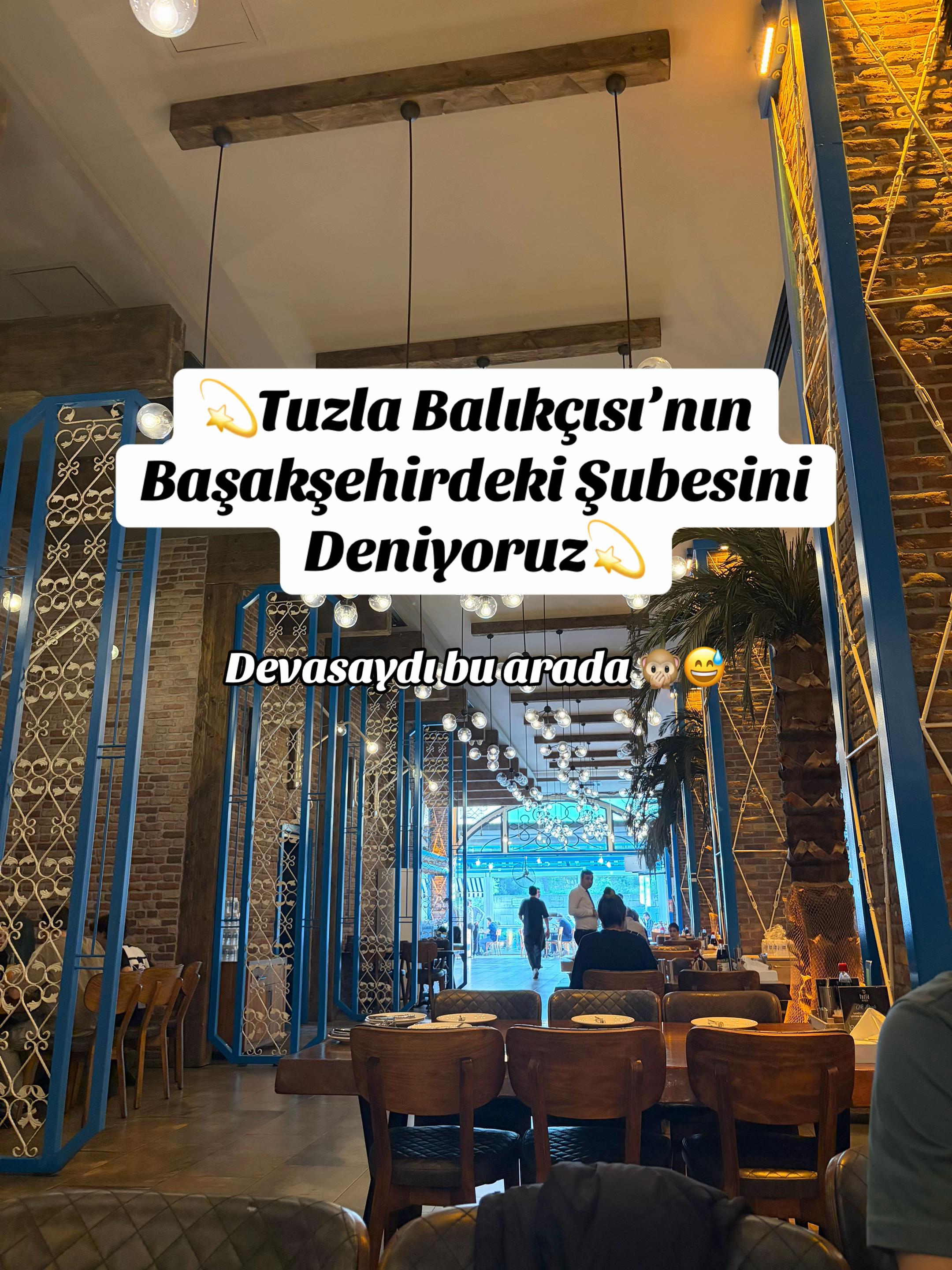 @İstanbul Kedisi