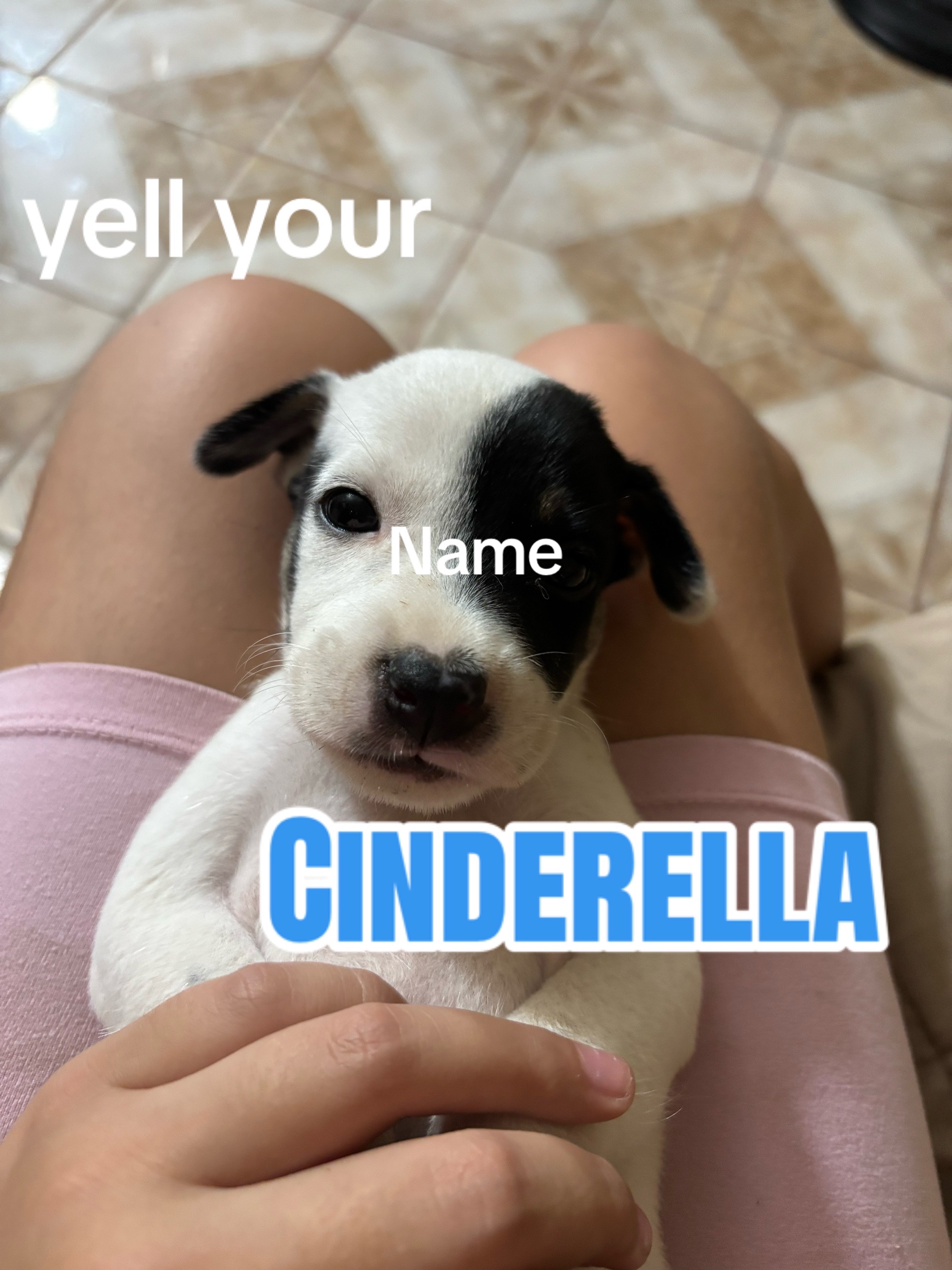 @°ส๐ษ°