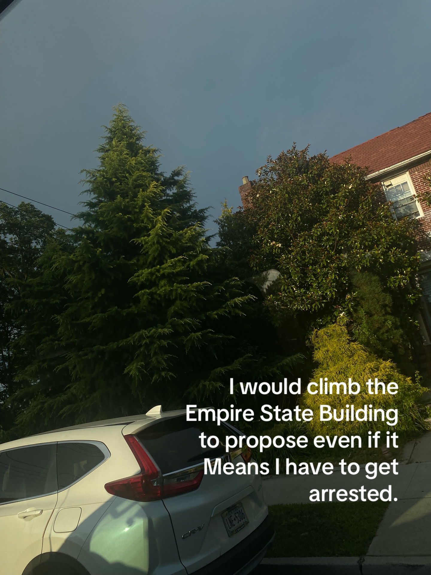 @Edit.com99