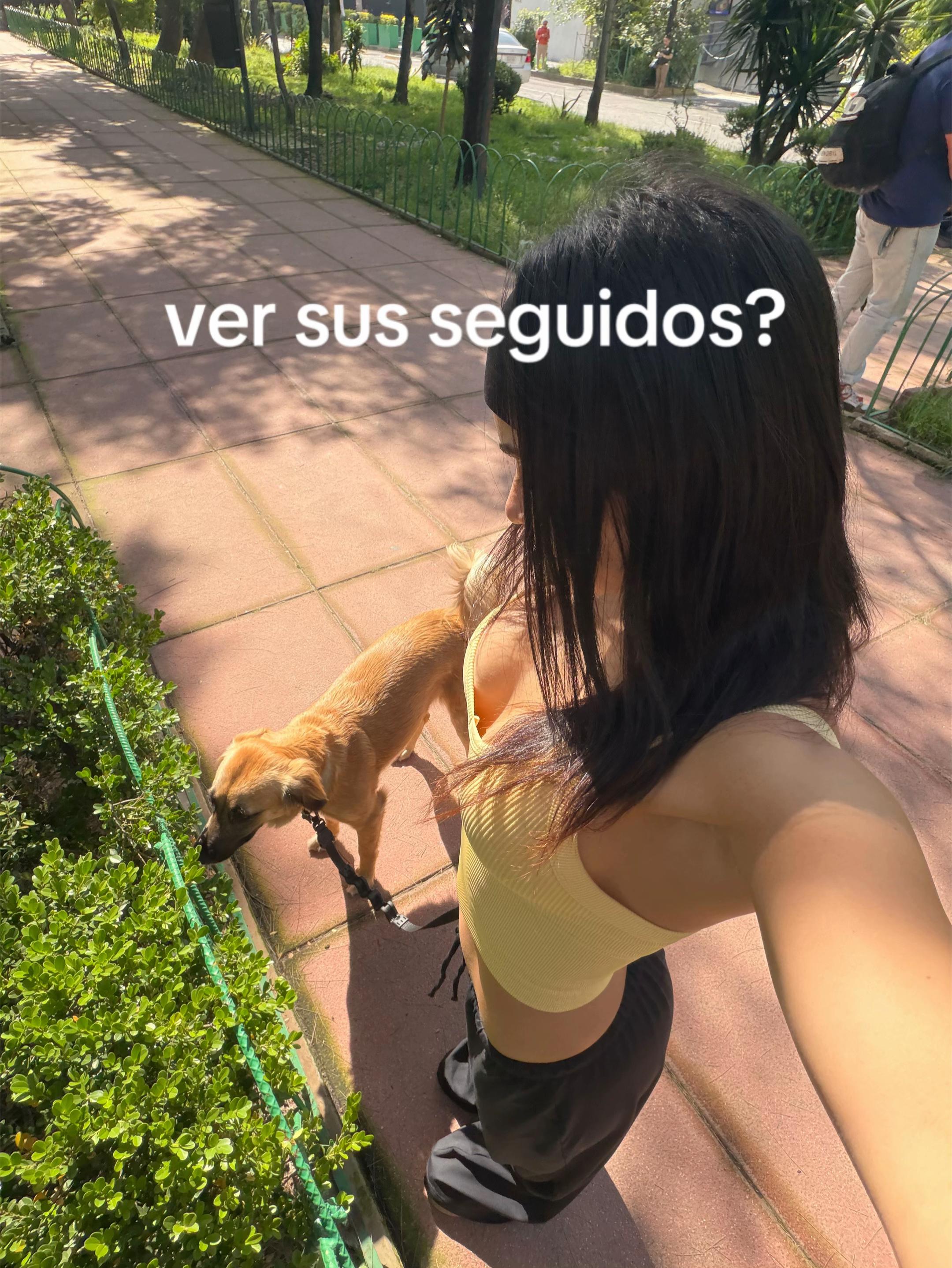 @Alana Flores