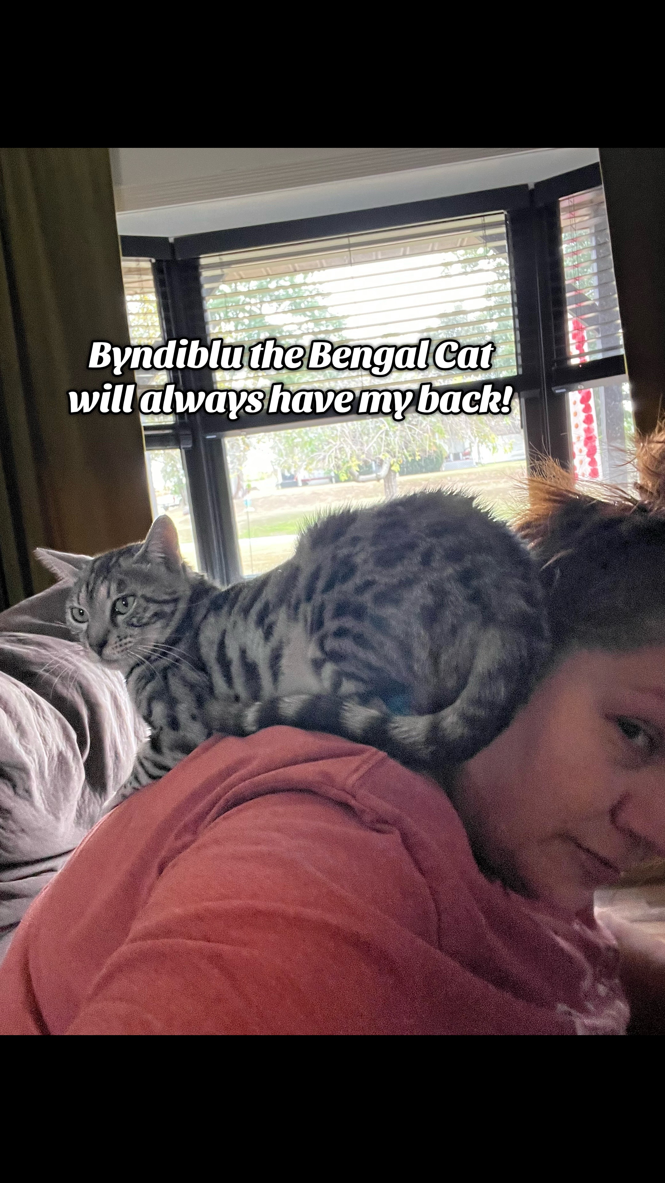 @wonderspotsbengals