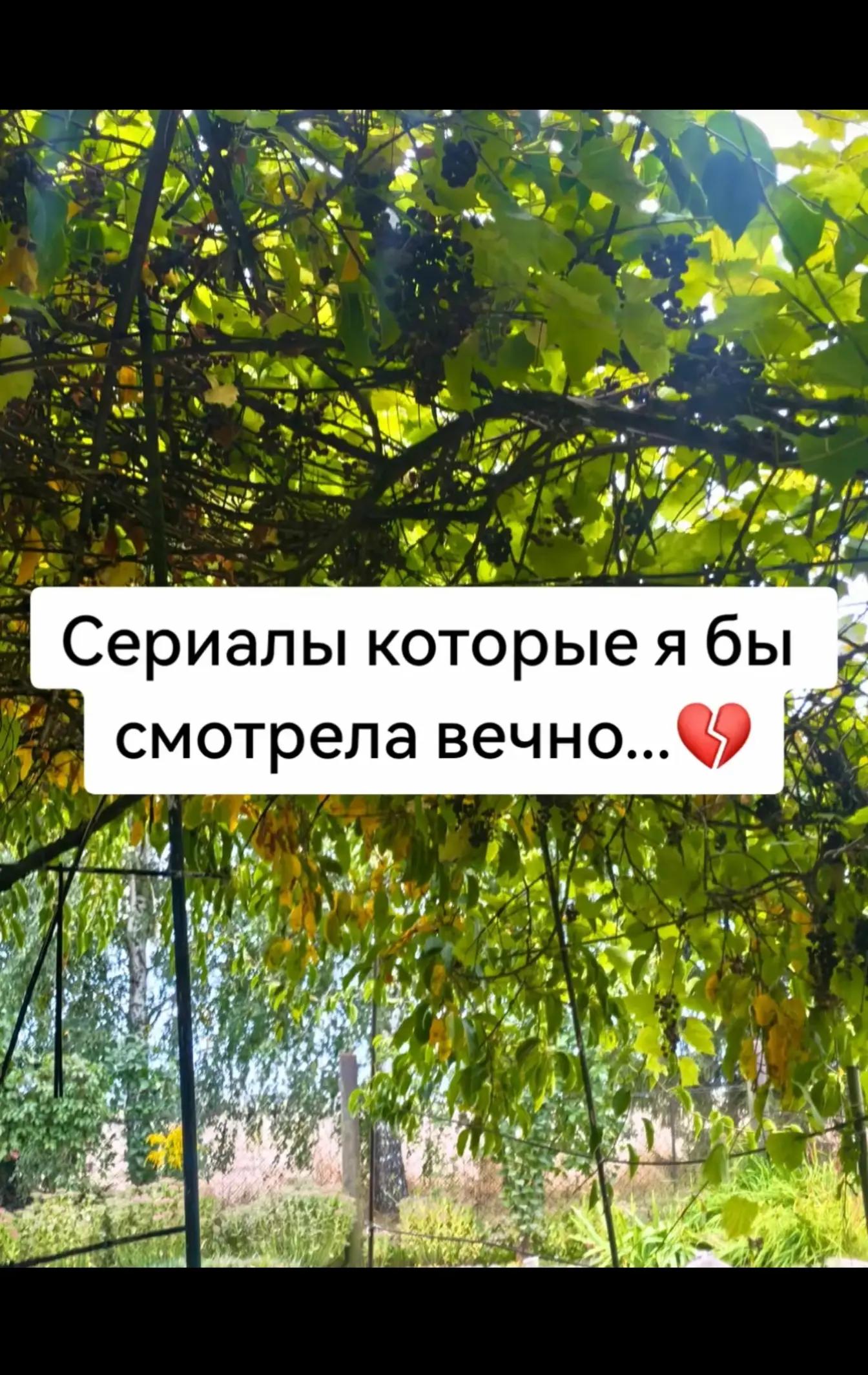 @𝕃𝔼𝕊𝕐𝔸