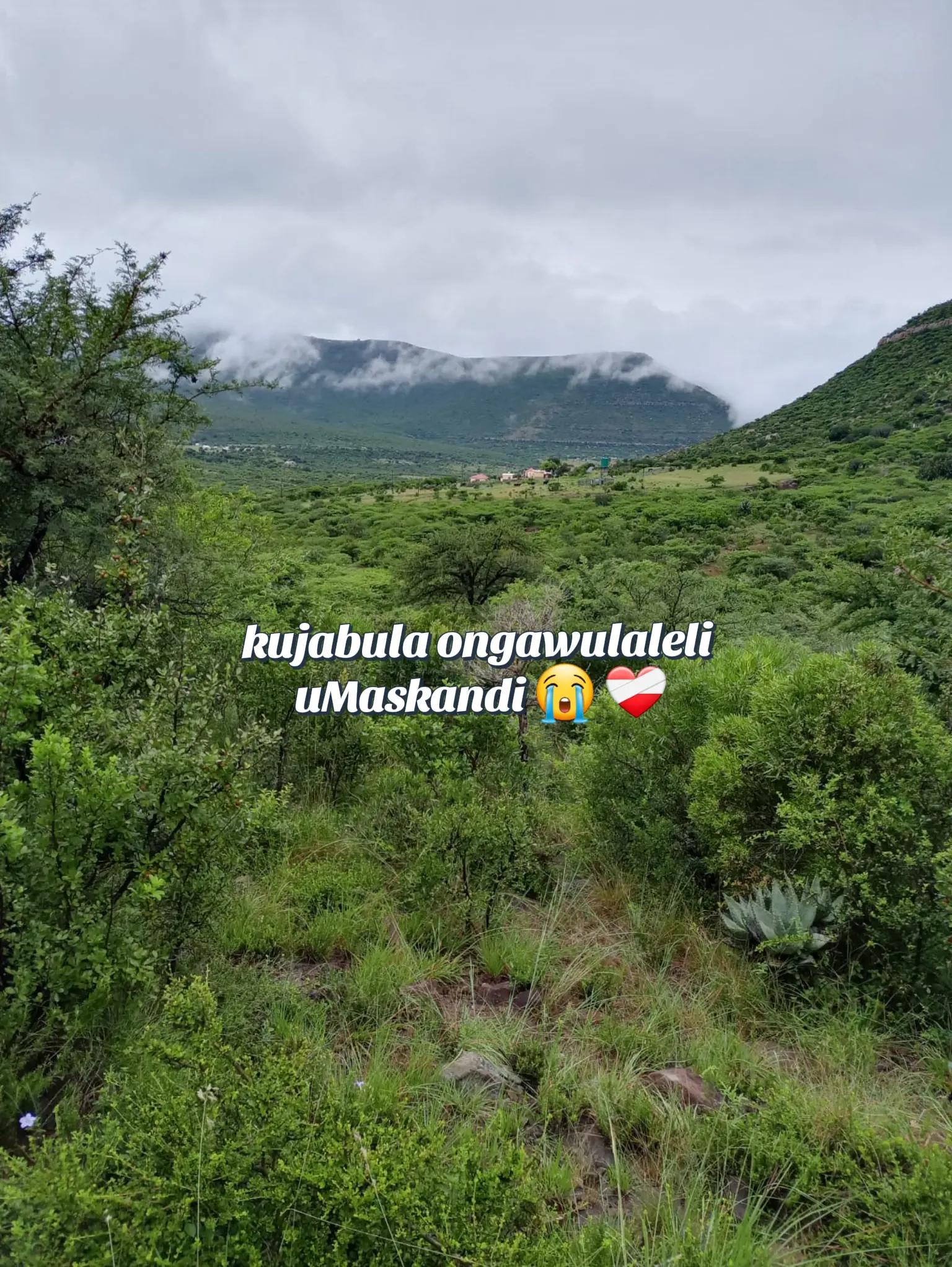 @MaShamase omuhle 🎀✨️