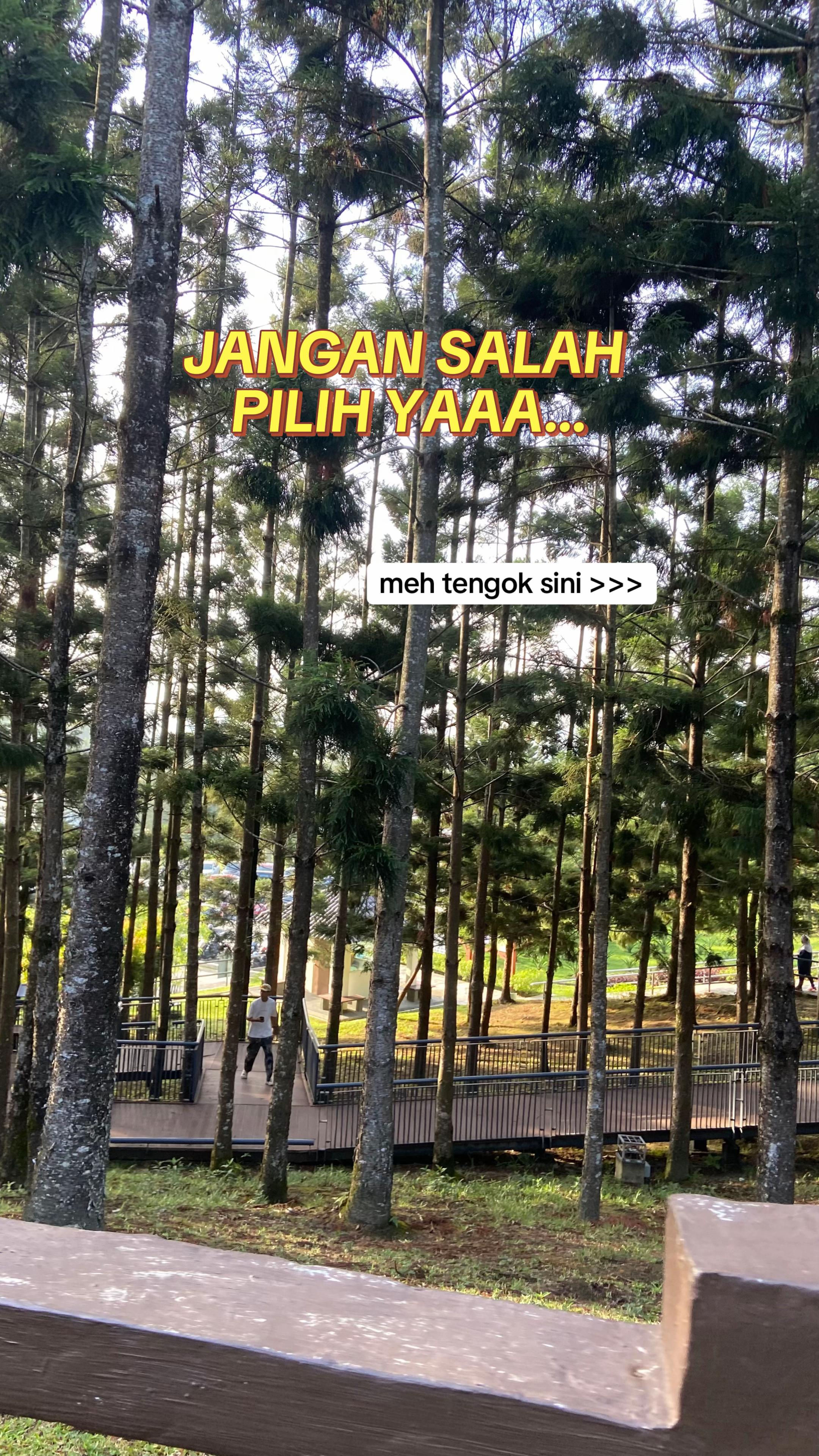 @Cik Mira Ramlee