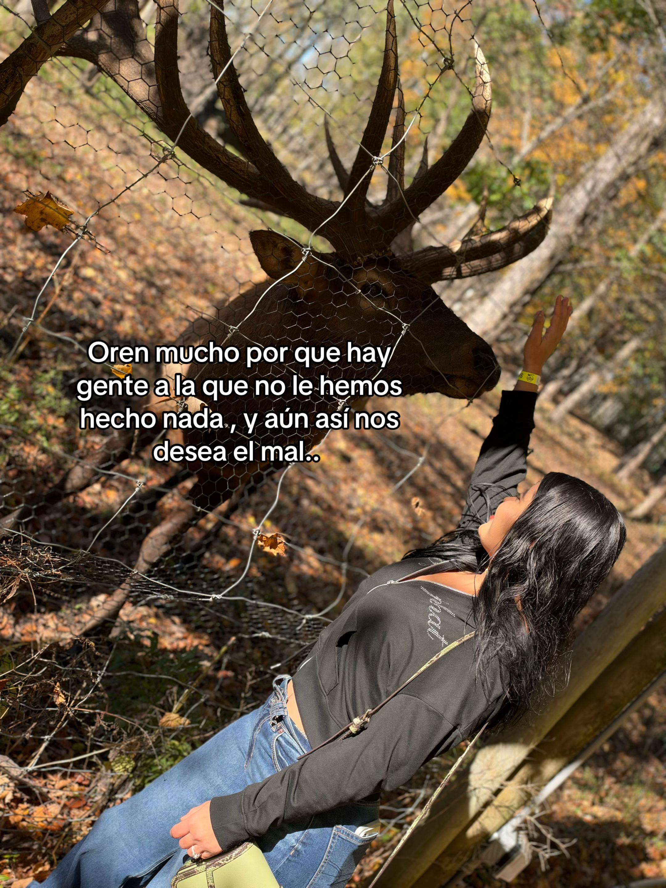 @Glenda