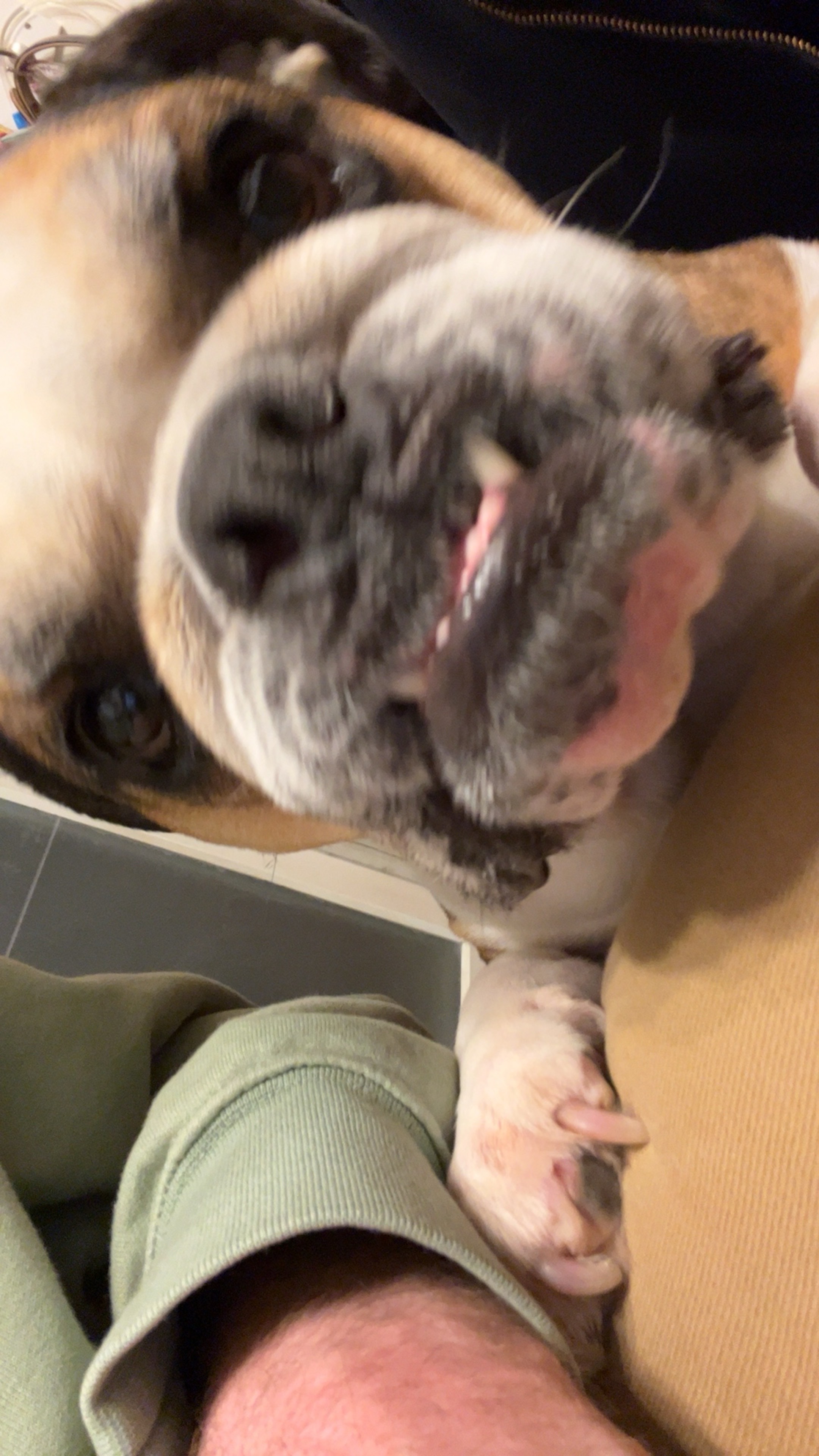 @NayaBulldog