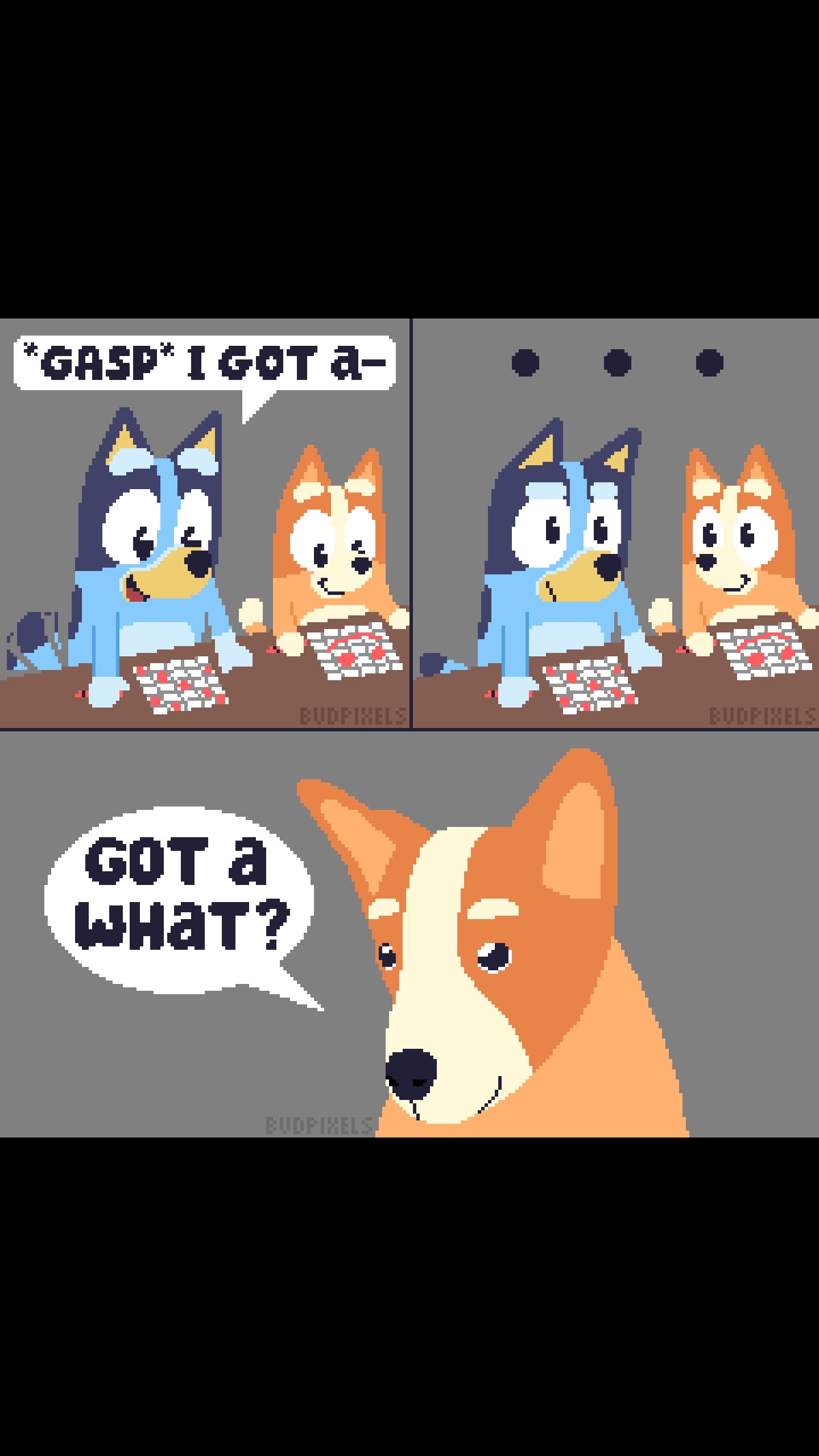@budthepal