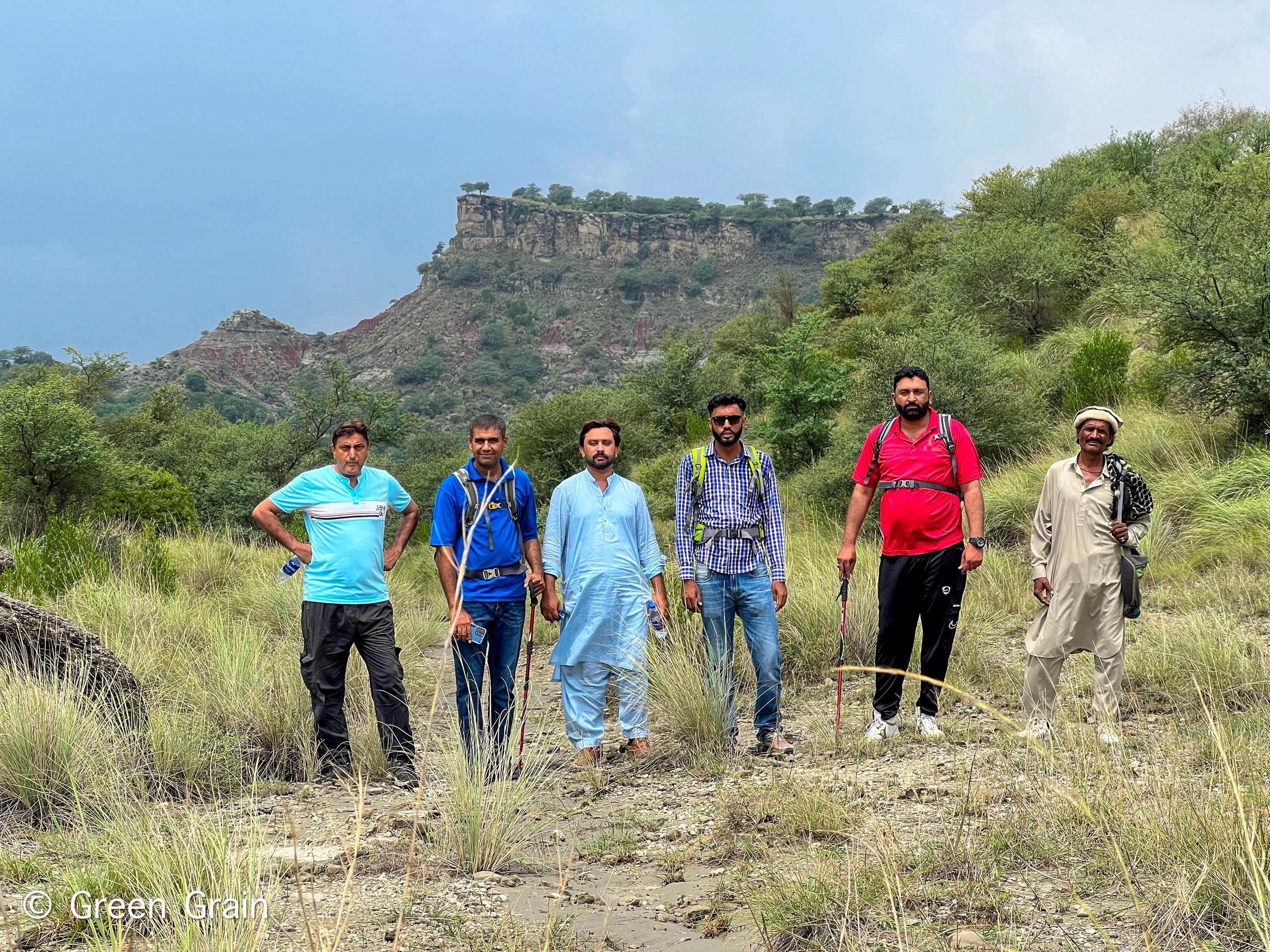@Green Grain (Organic Pakistan)