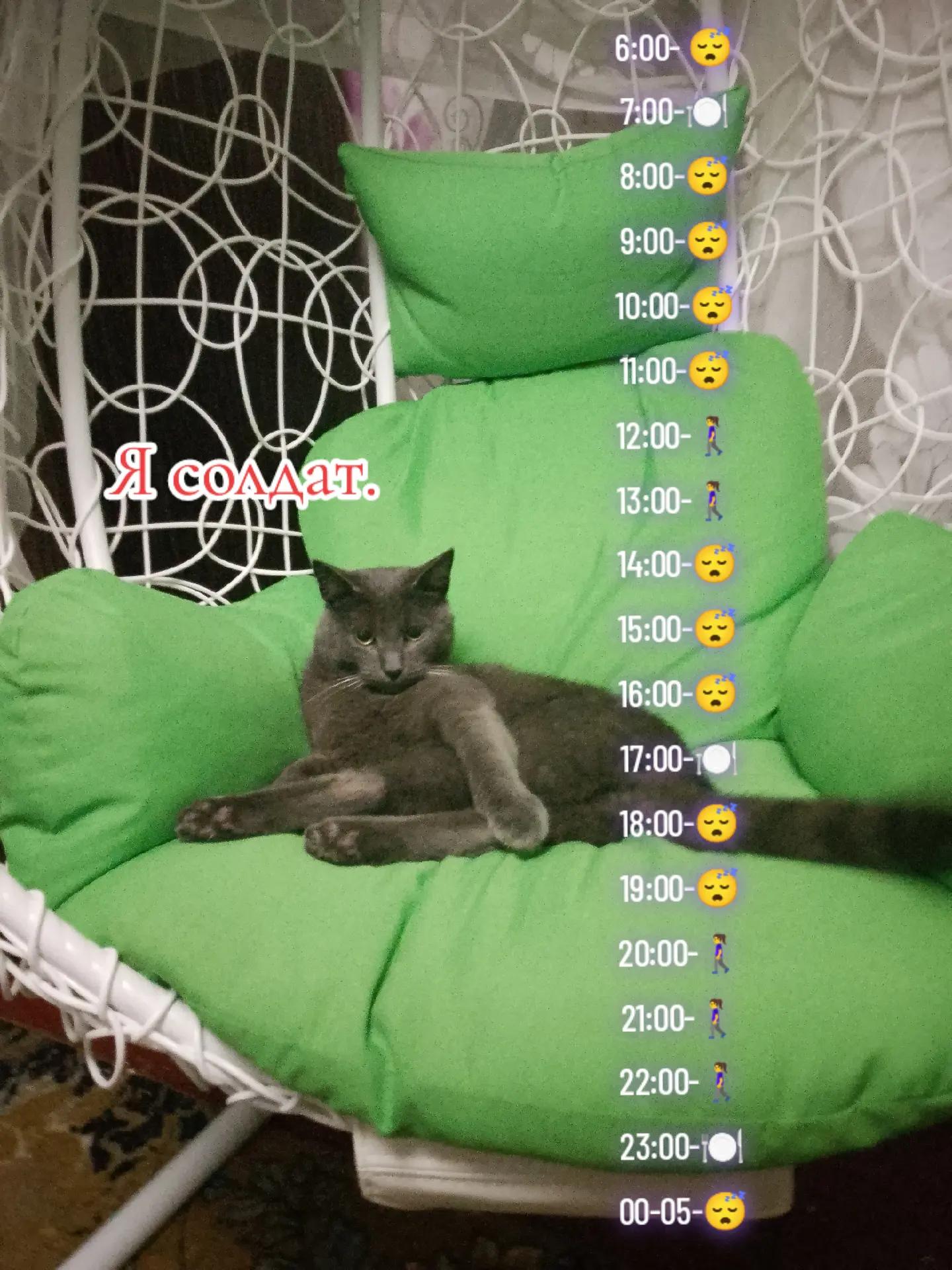@Varenik