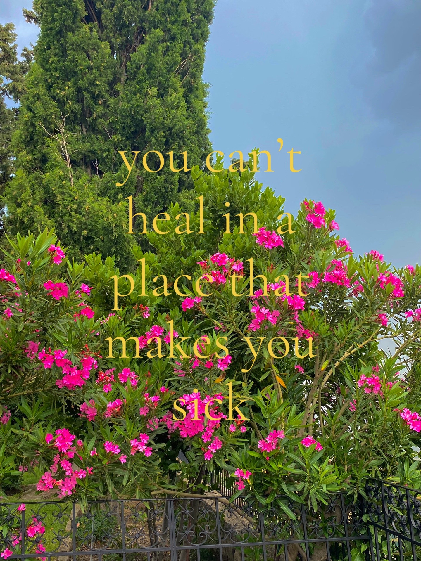 @holly jean