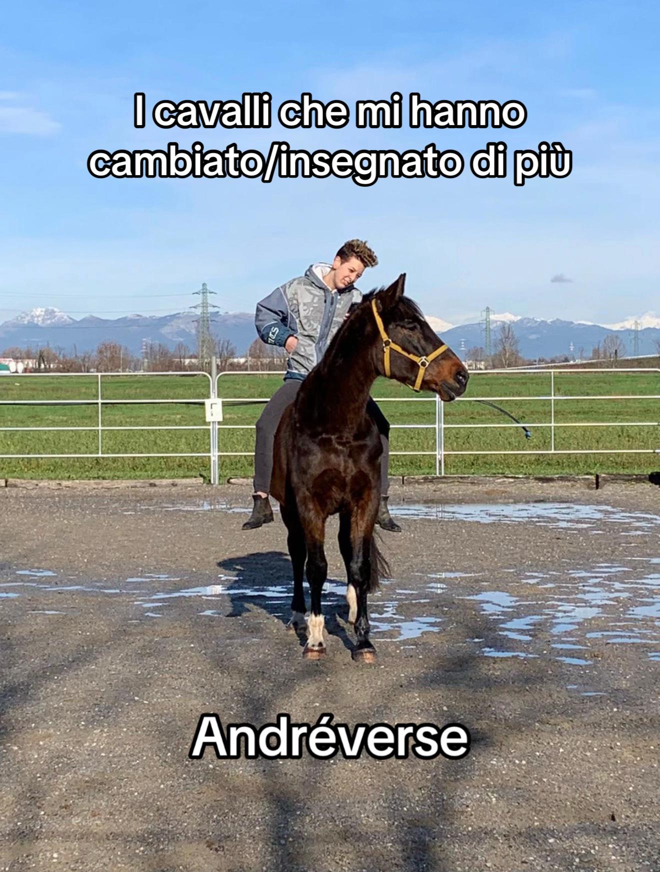 @EA_Horsez