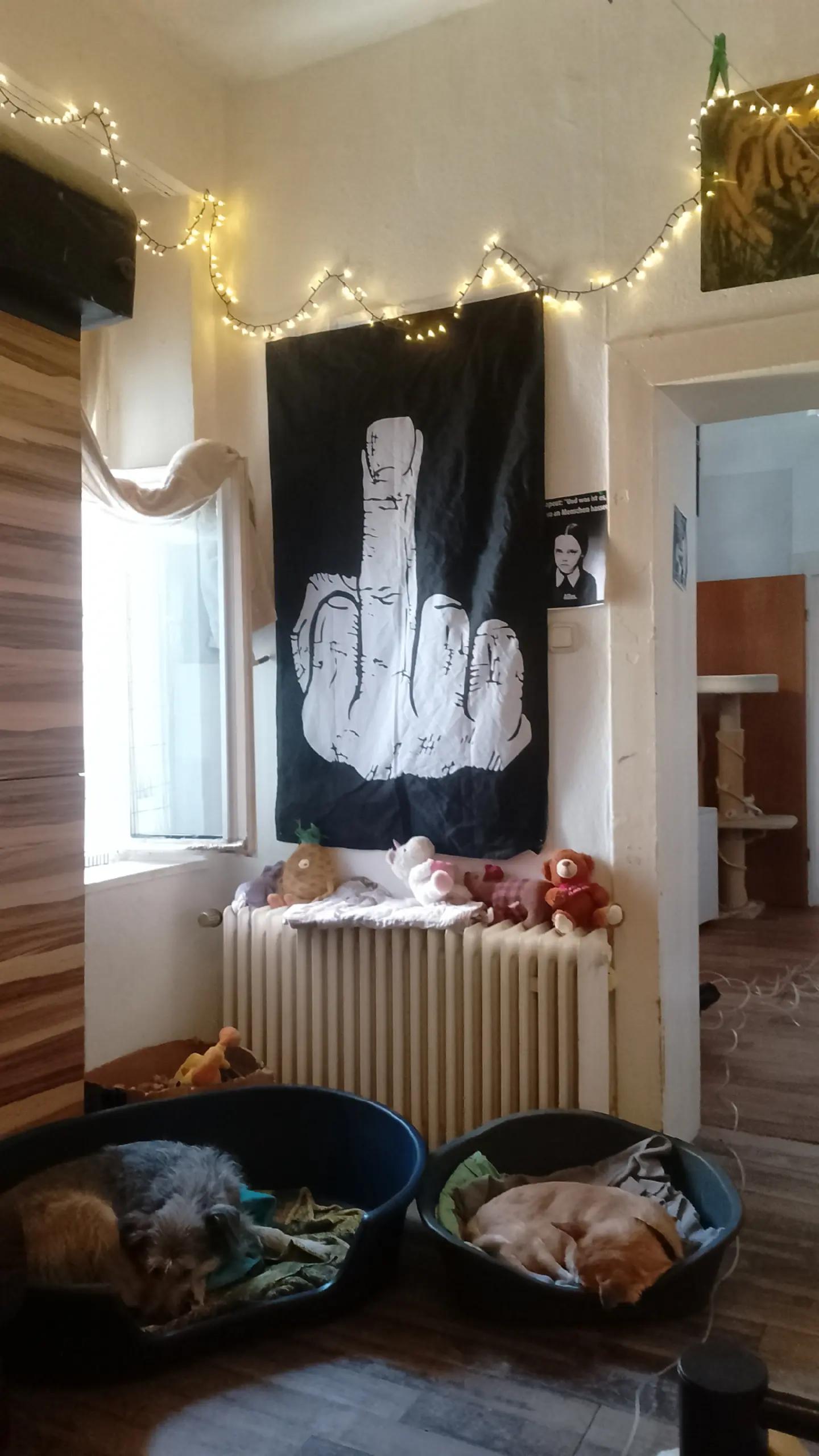 @💀💀DasBöse💀💀
