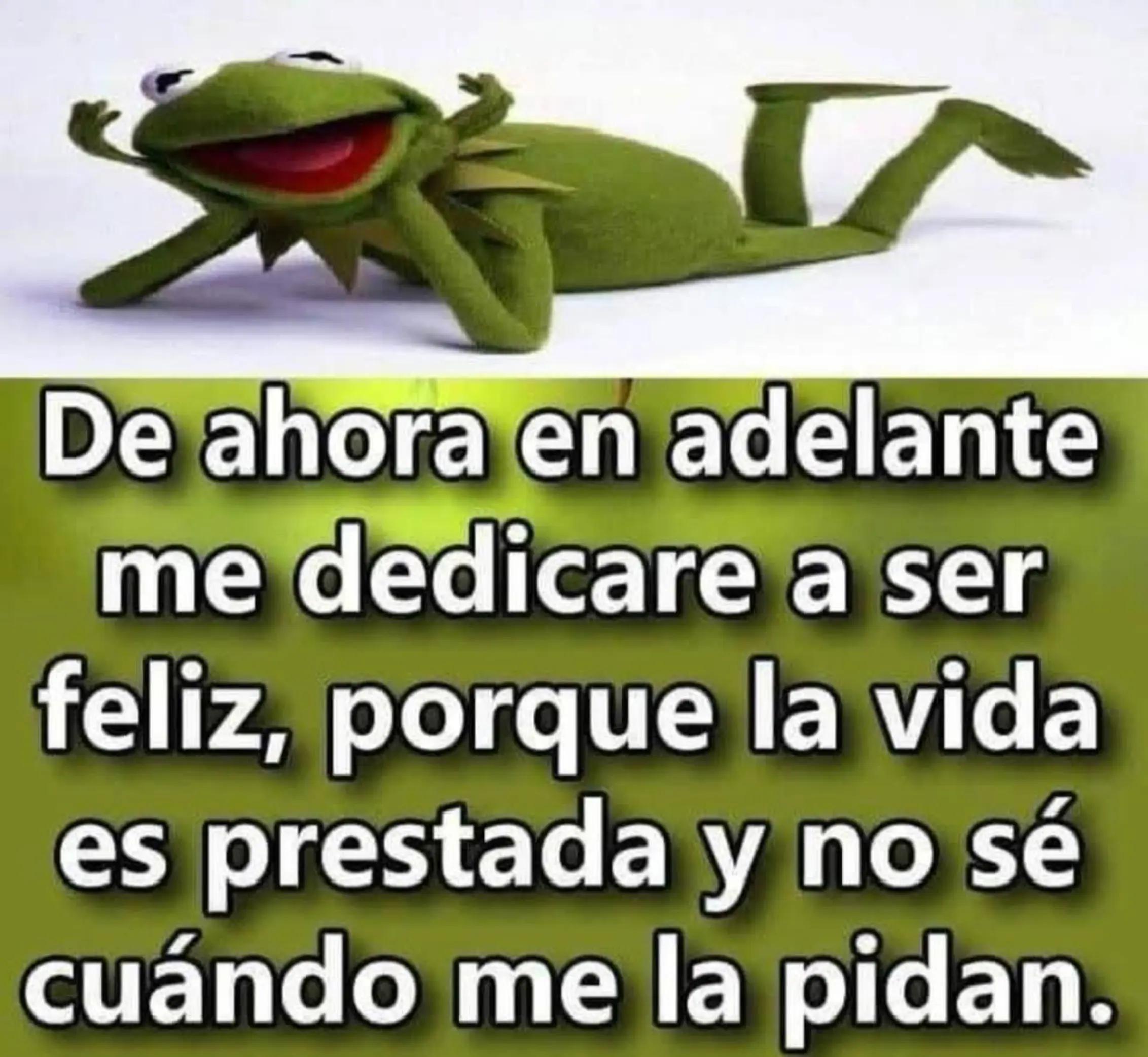 @Estela Pruneda372