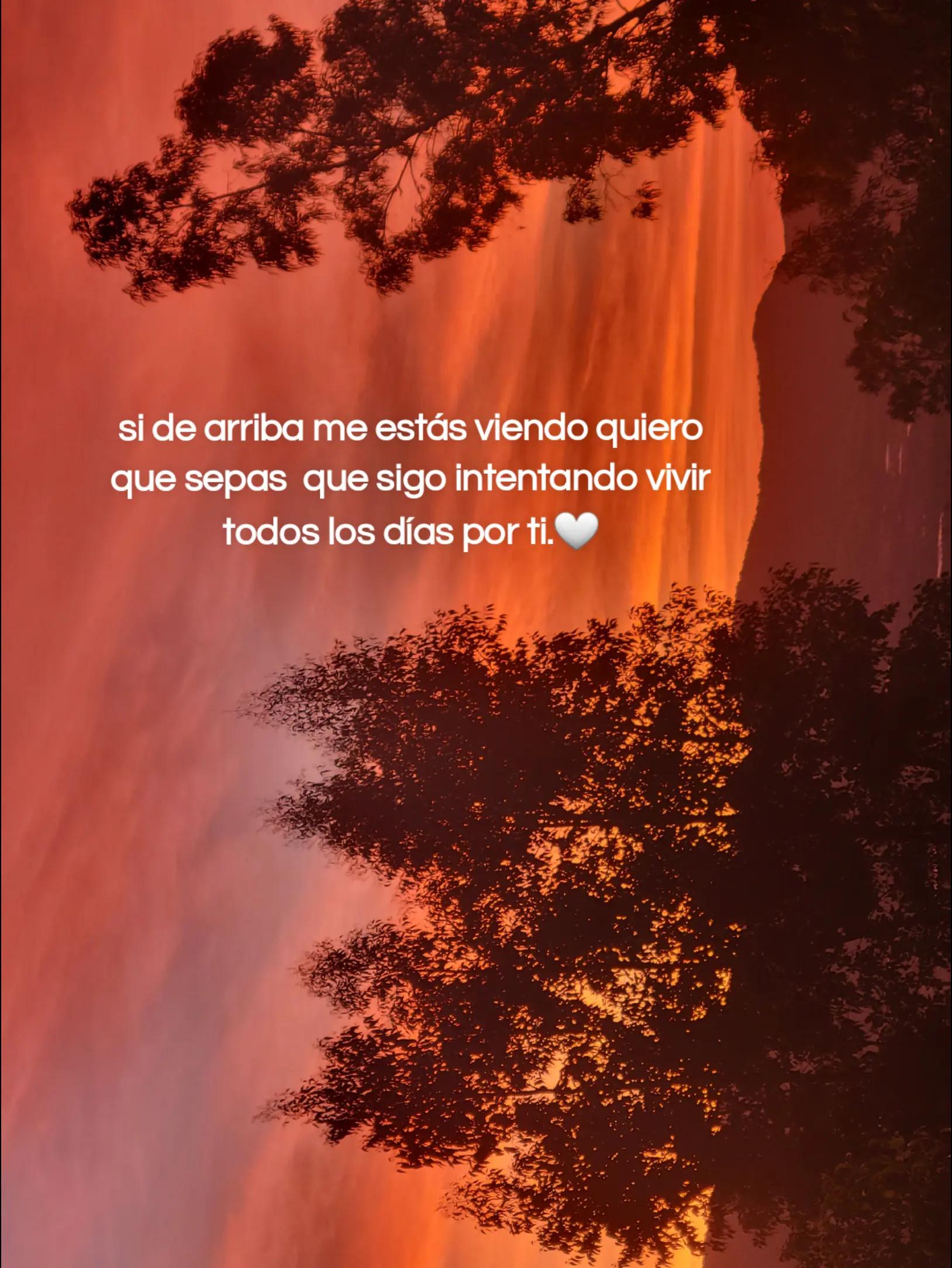 @Rossy RC.🧚🏻♀️
