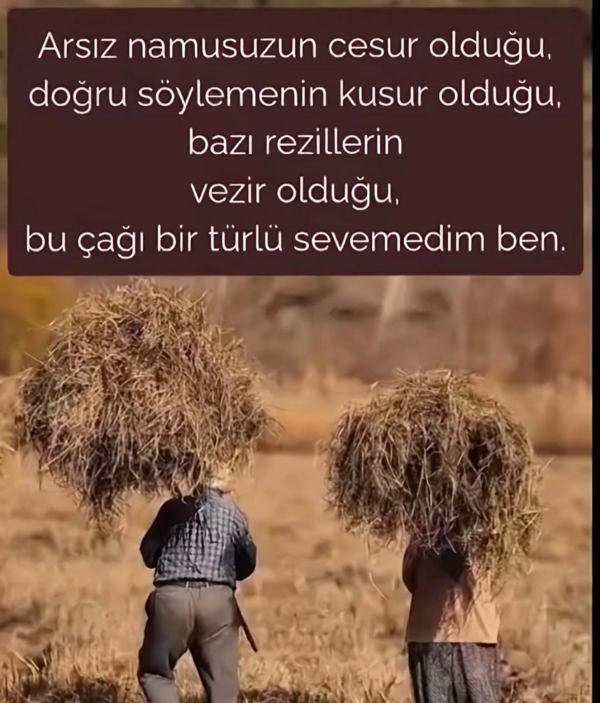 @🇹🇷ALFA🇹🇷