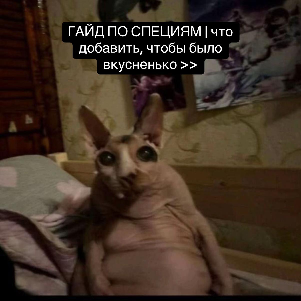 @леся ᴗ̈