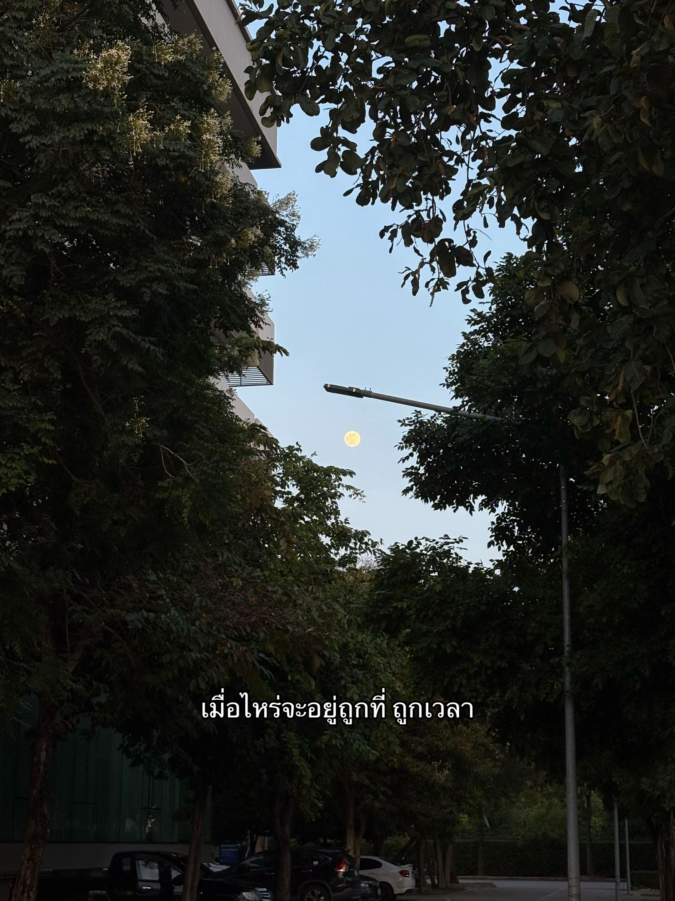 @มีคม