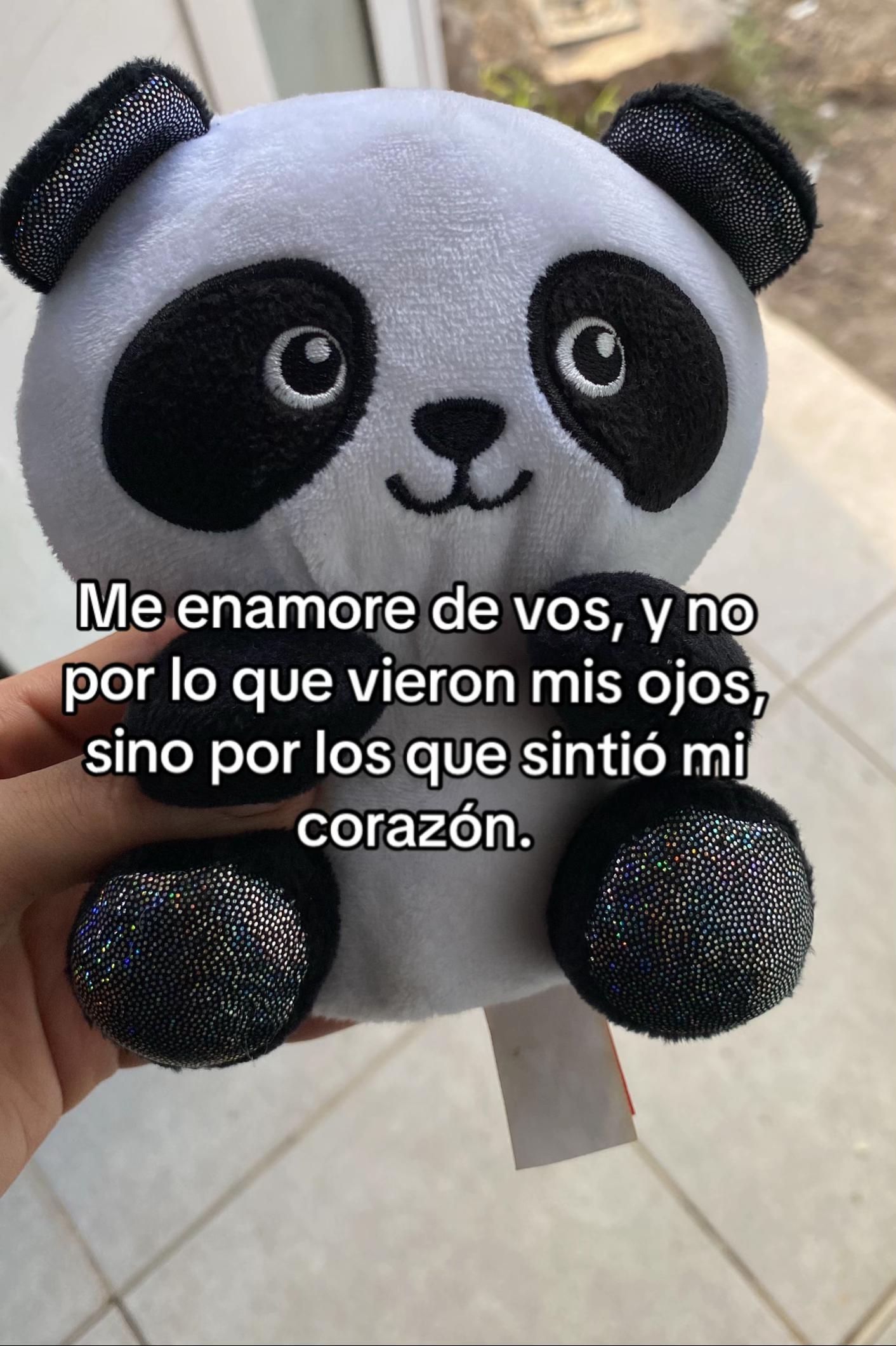 @Daniela Quintana