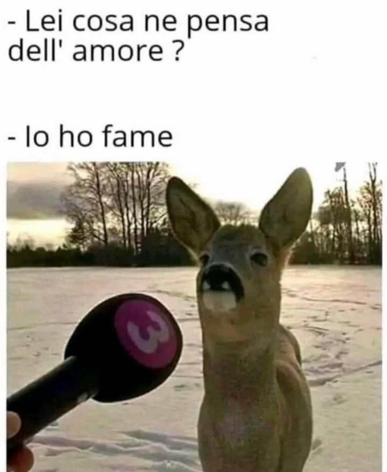 @🎀ROSA_PARATO🎀
