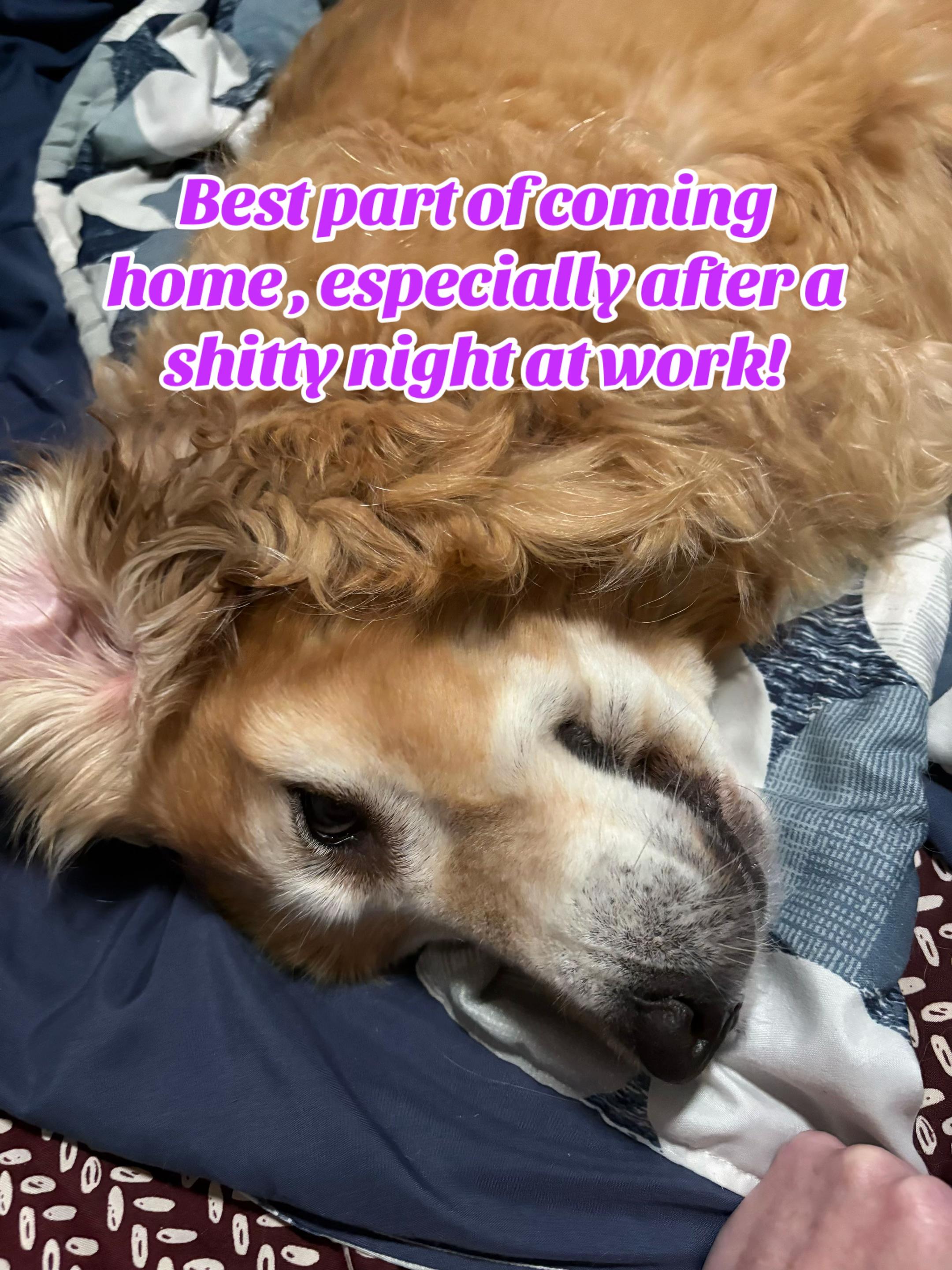 @Cat