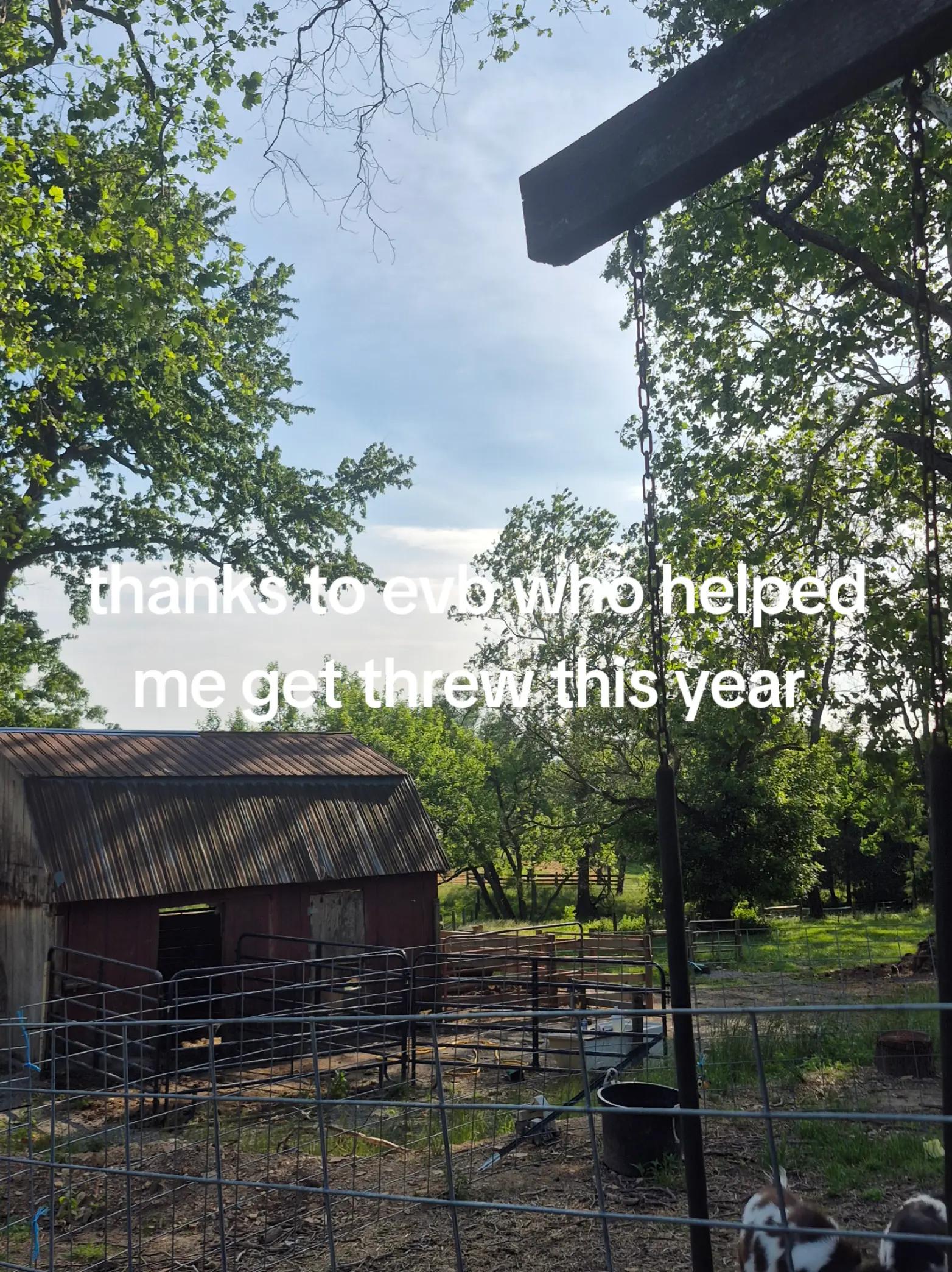 @🦆🌾𝓓𝓪𝓶𝓸𝓷🌾🦆