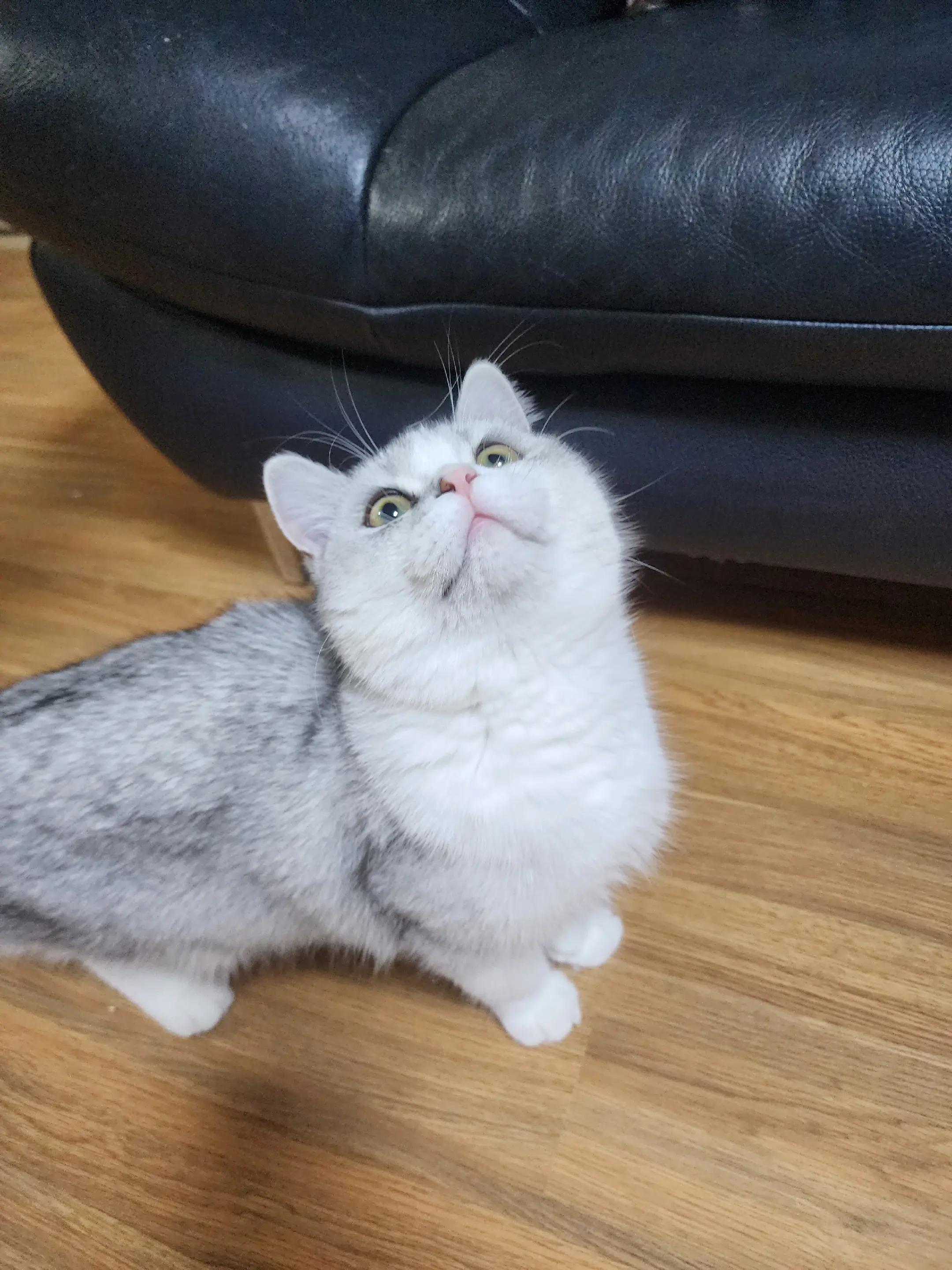 @박씨 거실
