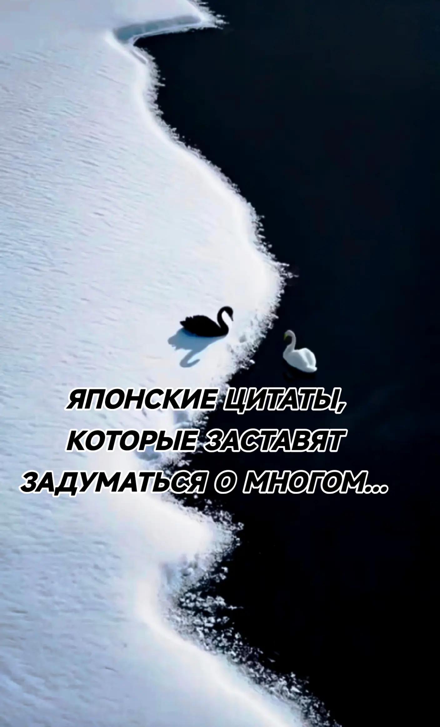 @Alev