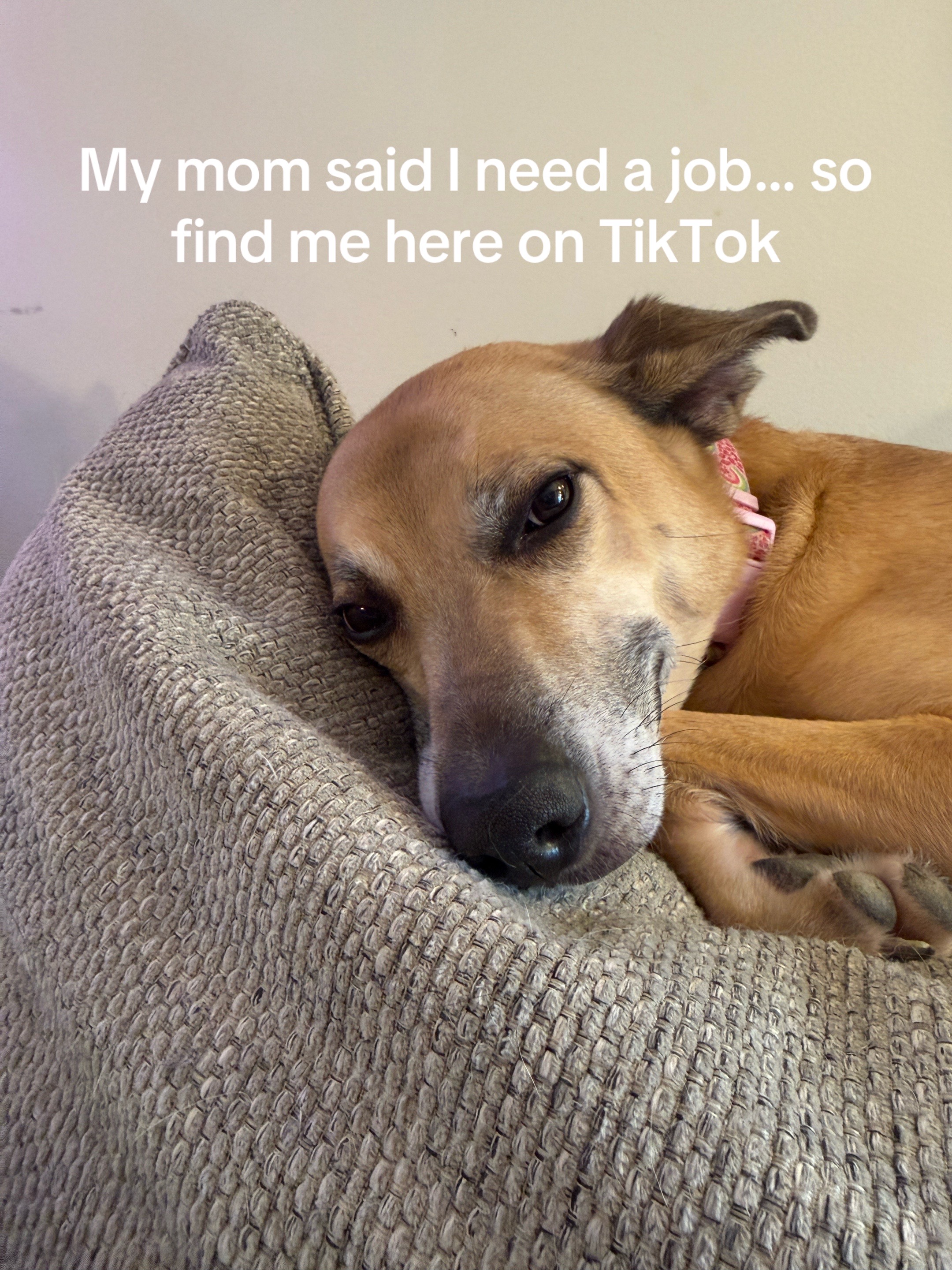 @Amber McAfee