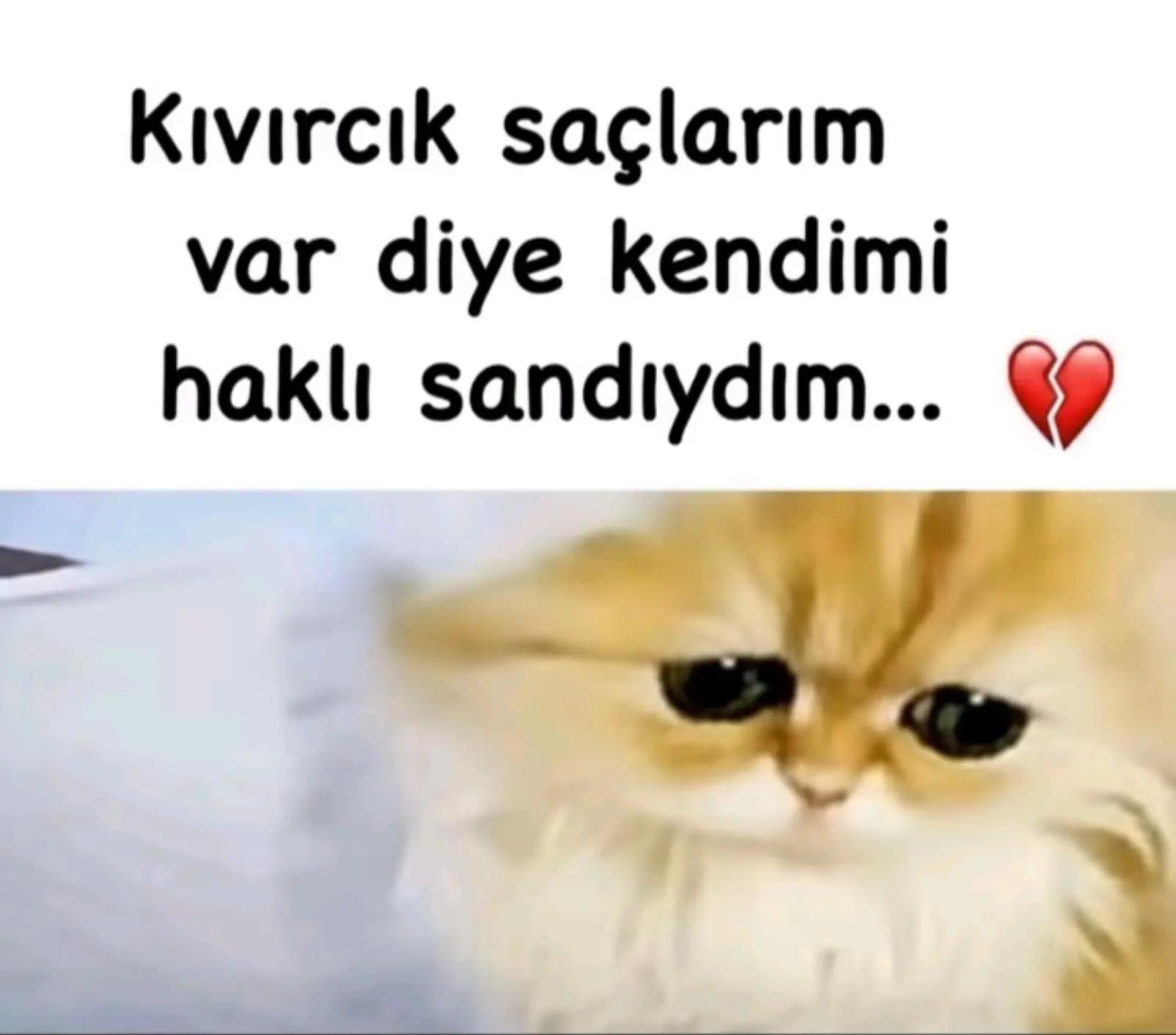 @13eylul𖣂