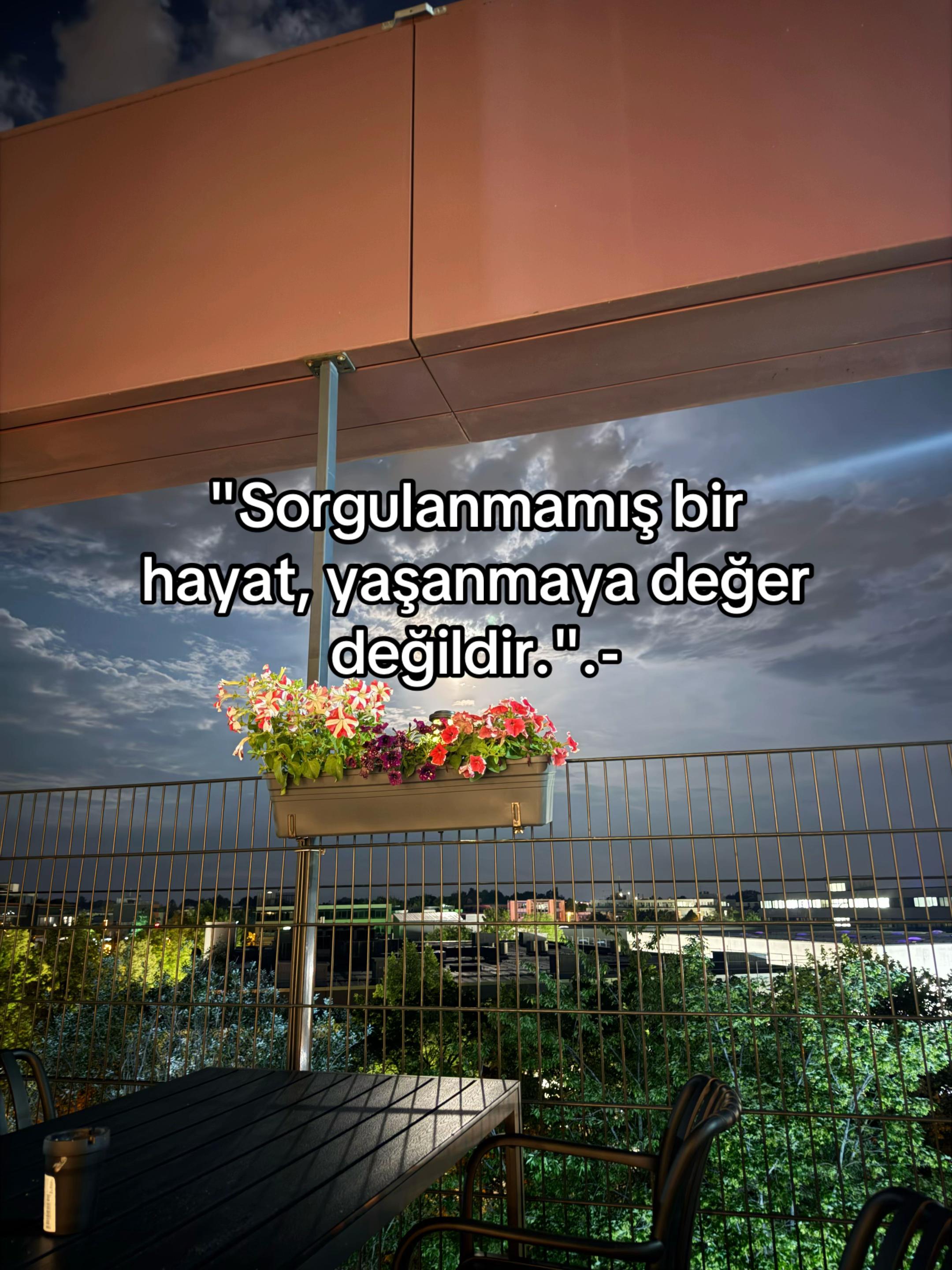 @Veysel Taha demir