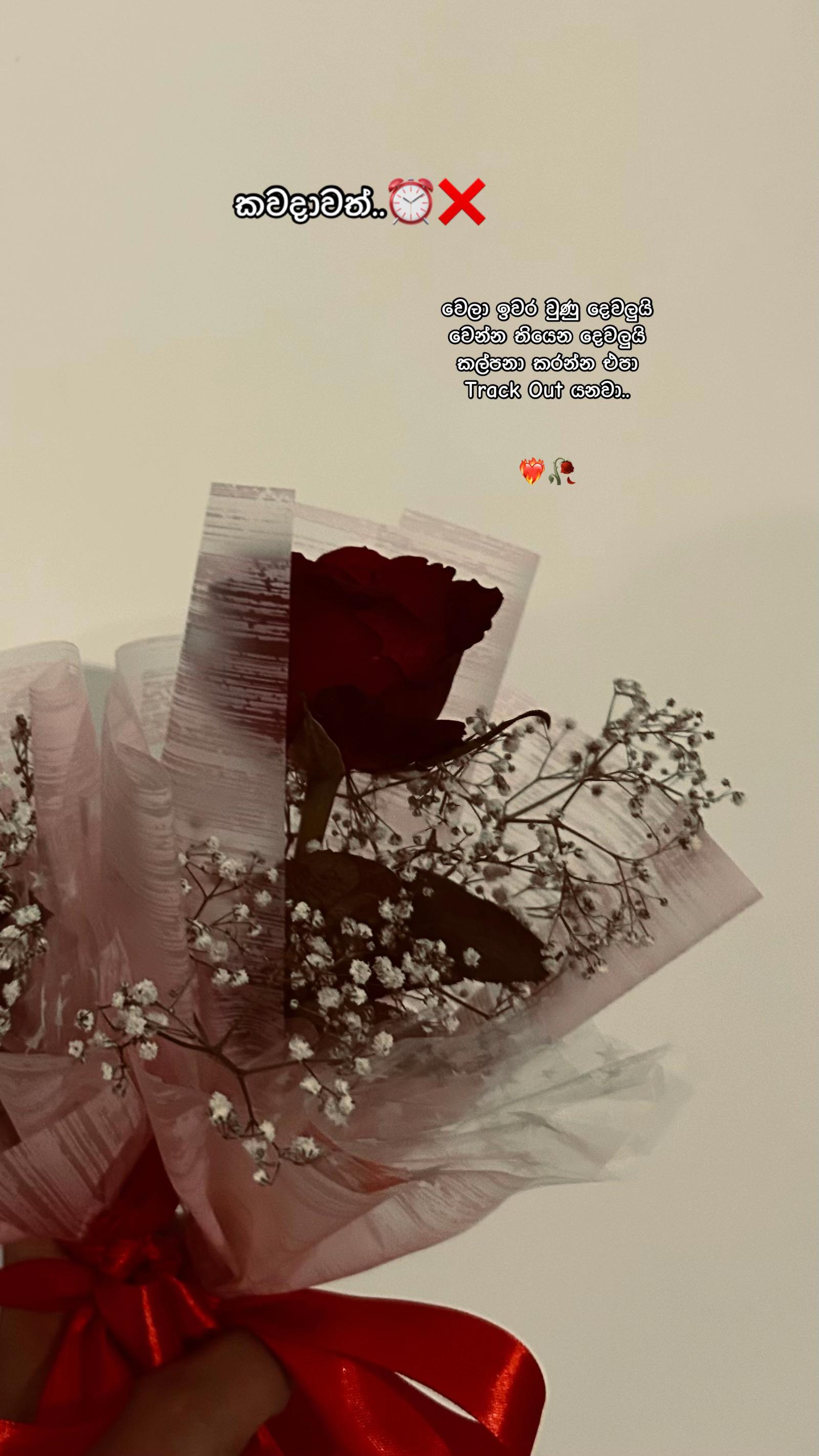 @Kushi_❤️🫧