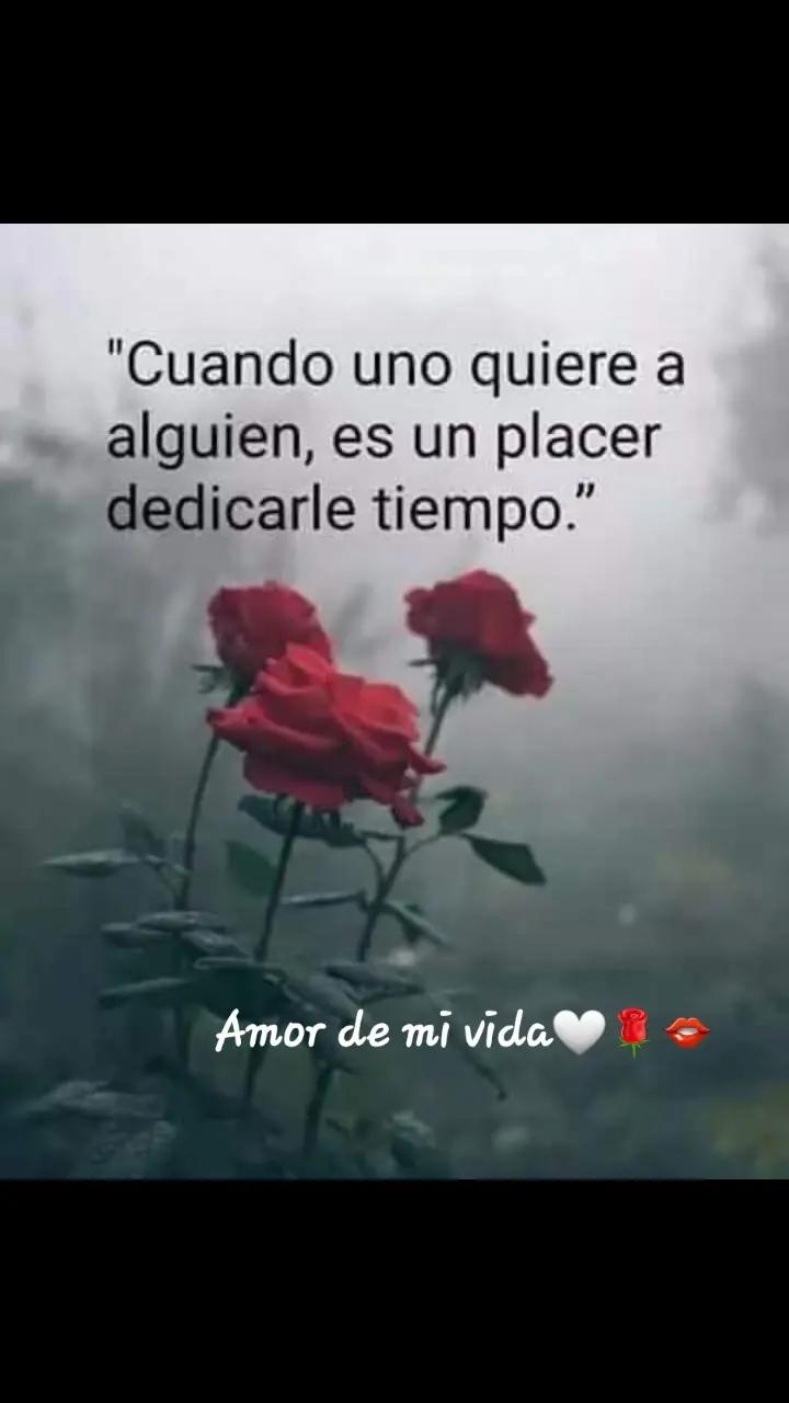 @Loli loli