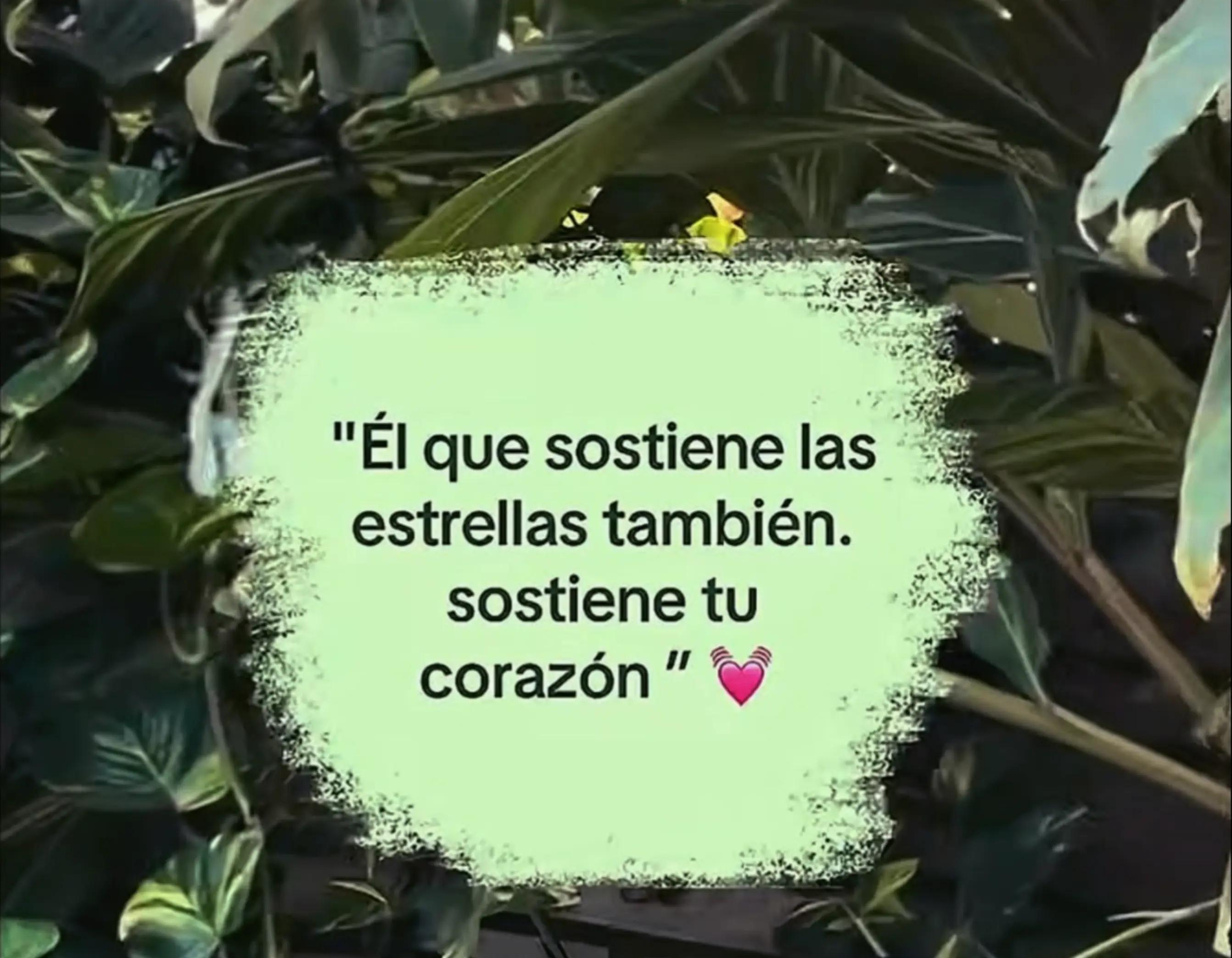@☆🐼𝓓𝓪𝔂 𝓐𝓻𝓬𝓲𝓪 𝓥🤍🖤