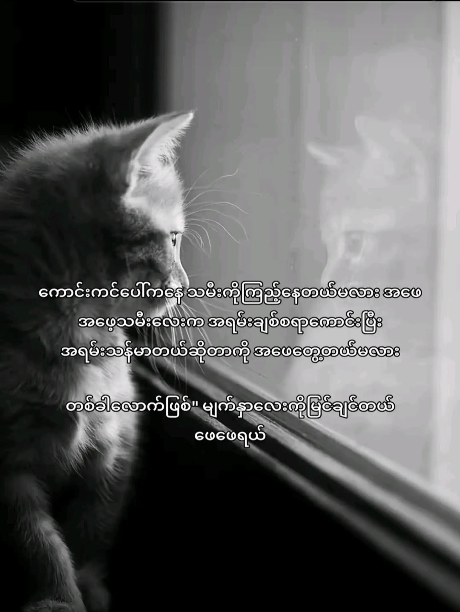 @đťđđđâĄđ