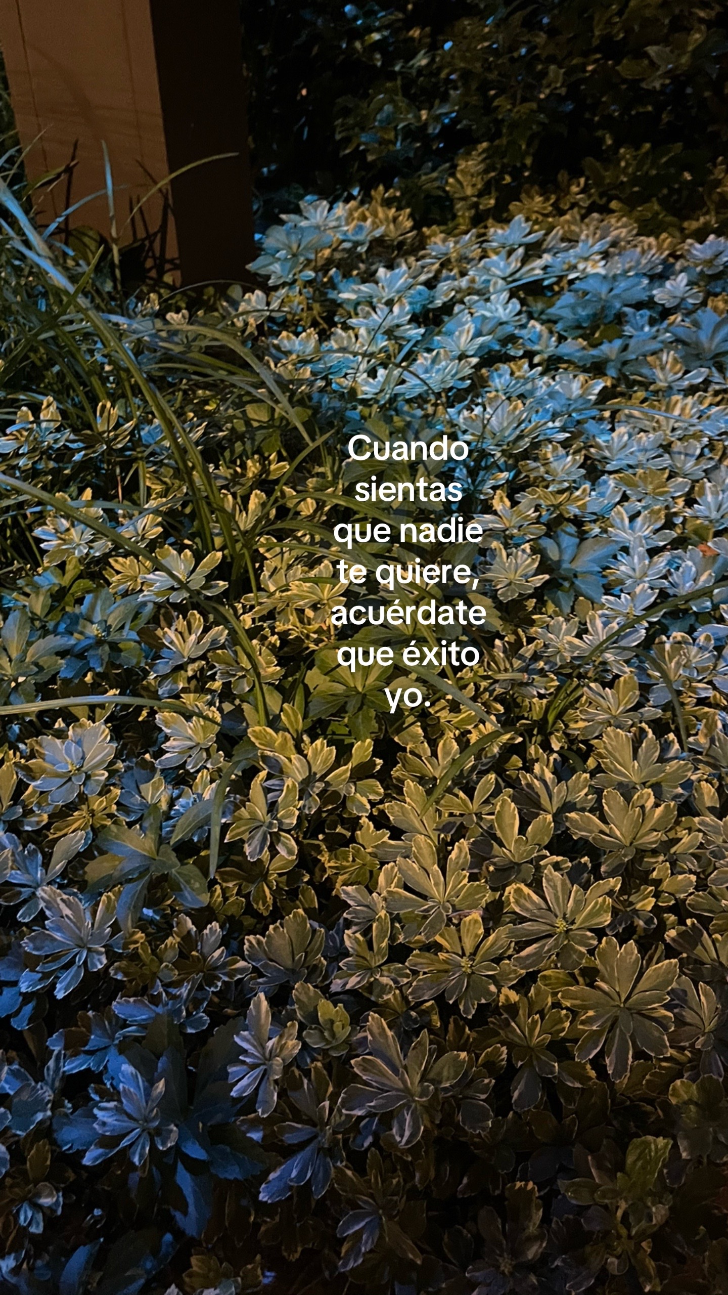 @Gonz&aacute;lez Wen