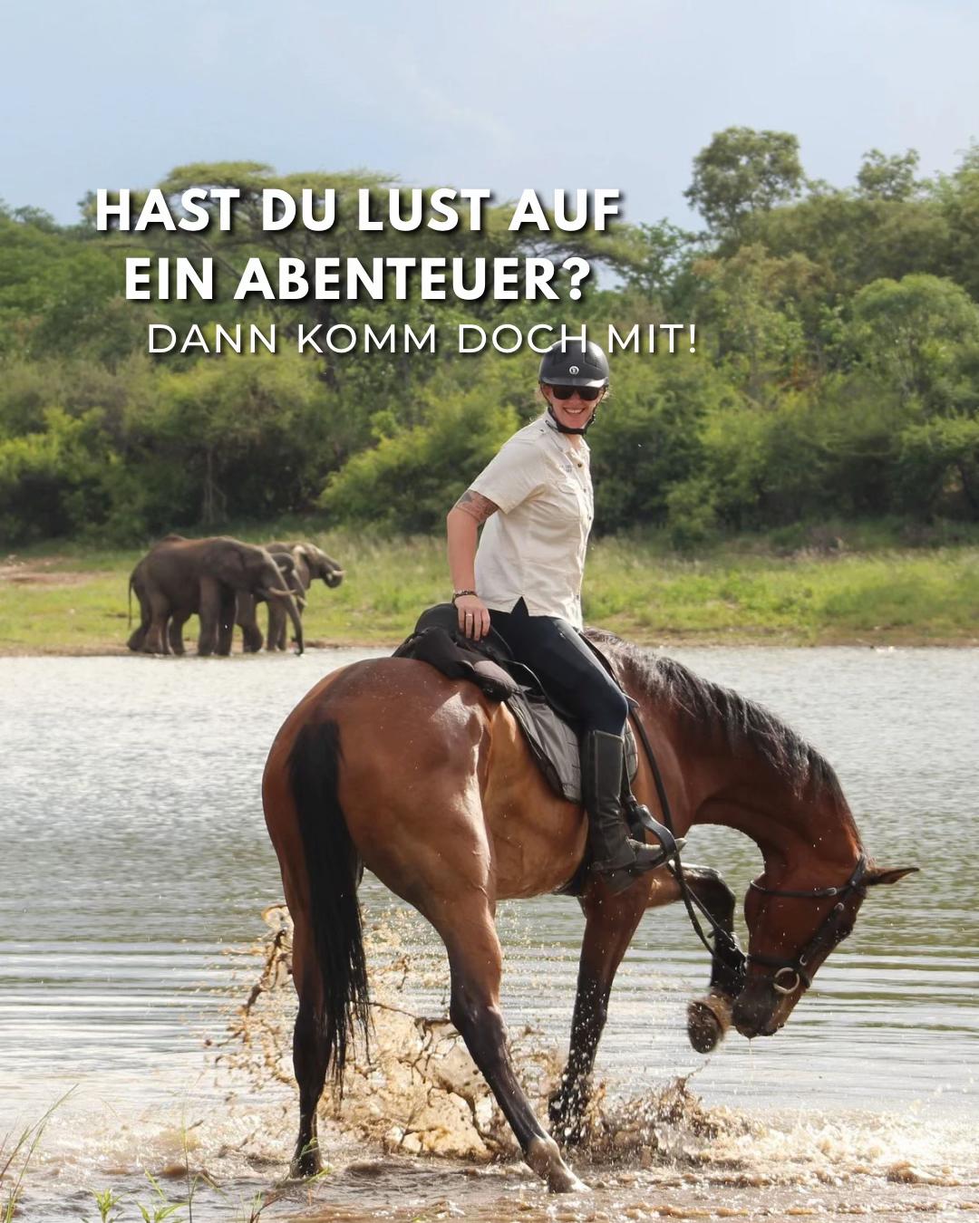 @Hoof & Travel 🐴🌍🐘