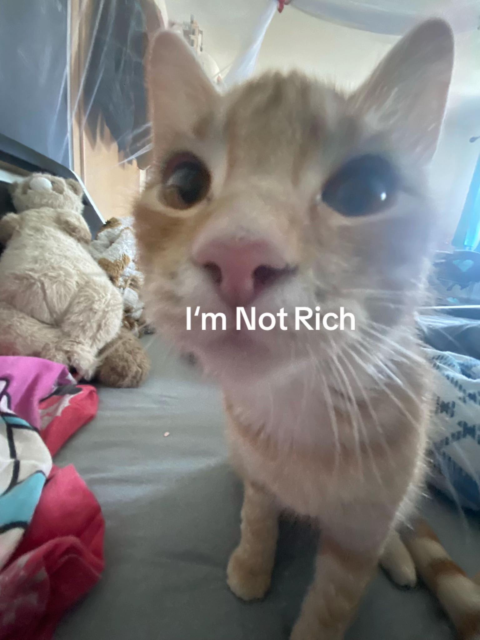 @M&lsquo;🍒🐅🪩
