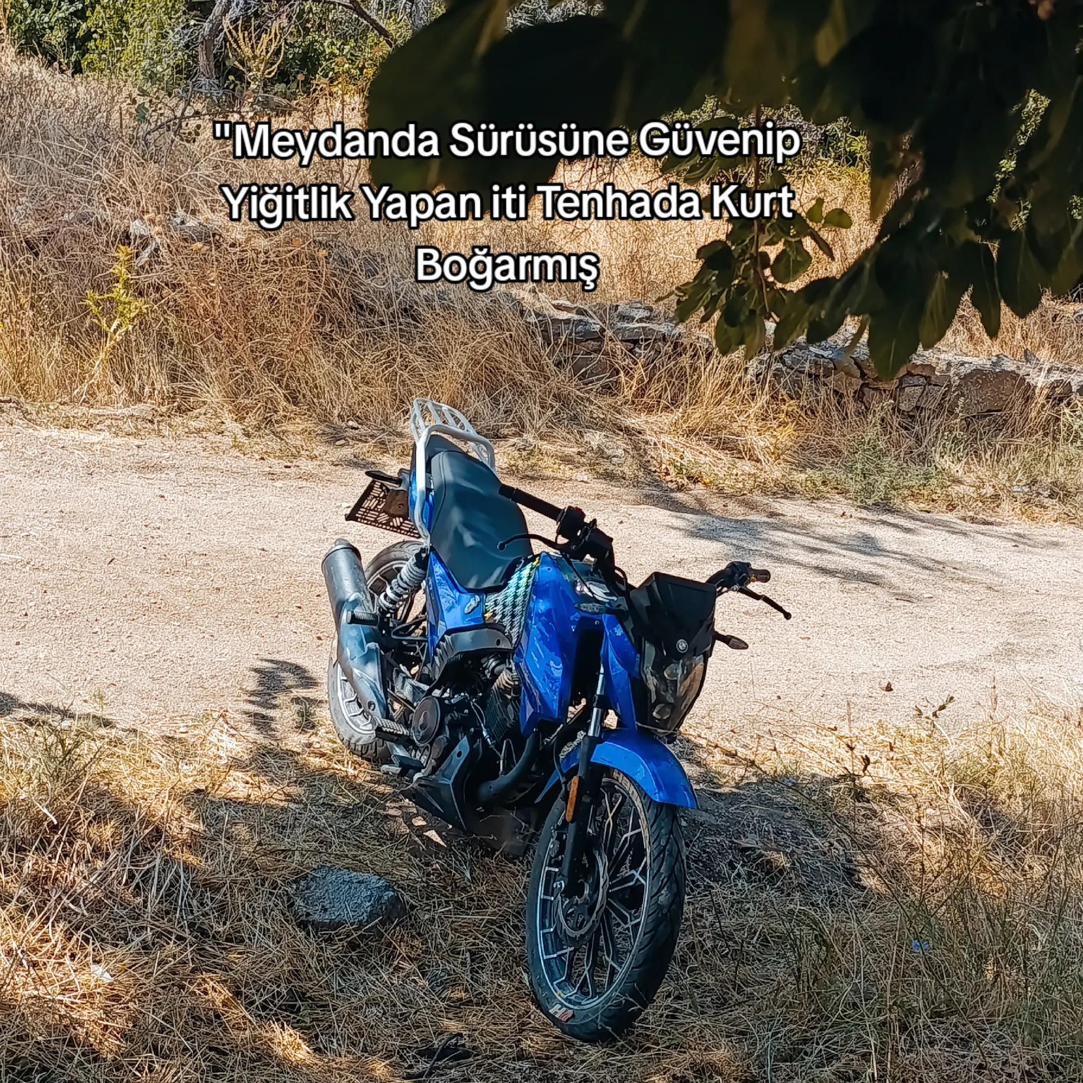 @Haydar uzun✍️