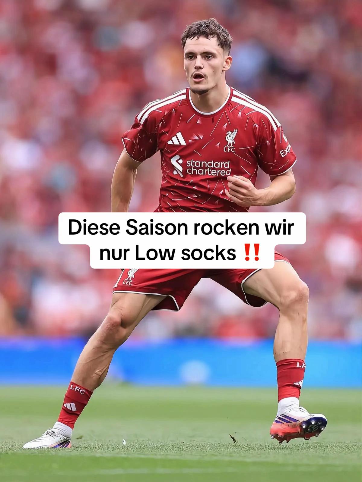 @profeets.de