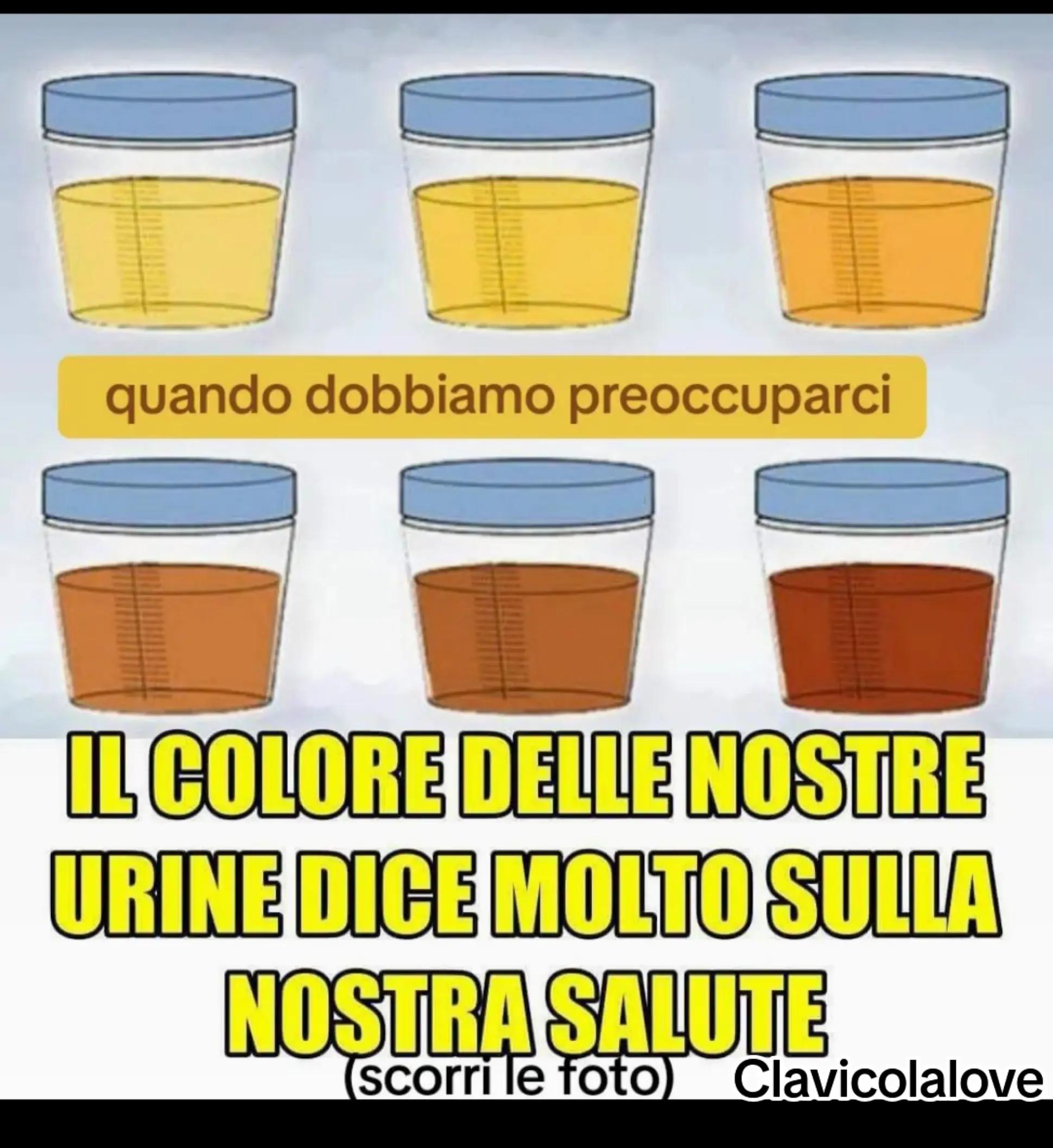@AntoCarrara