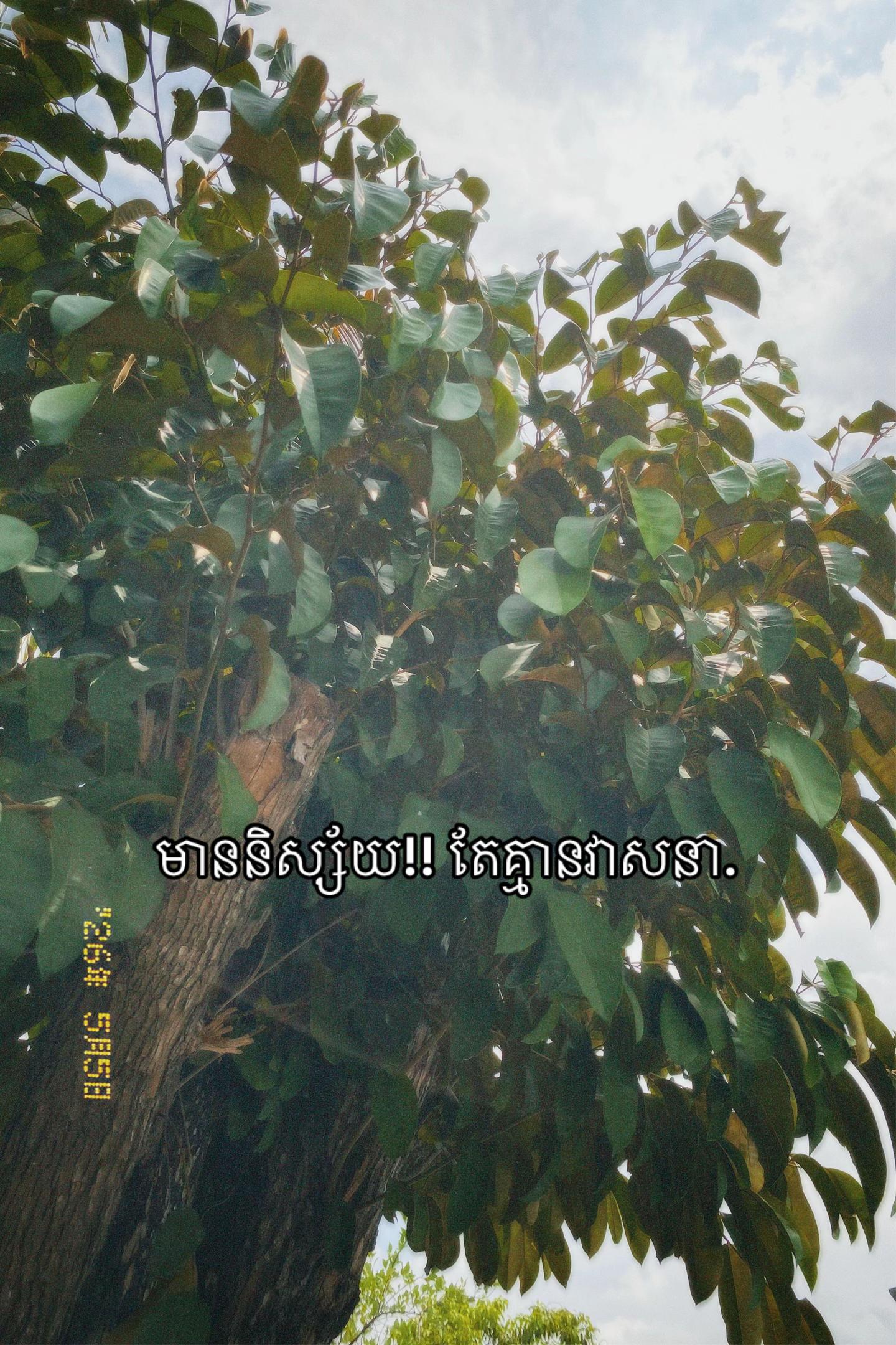 @ZA-แแถ๐ซ