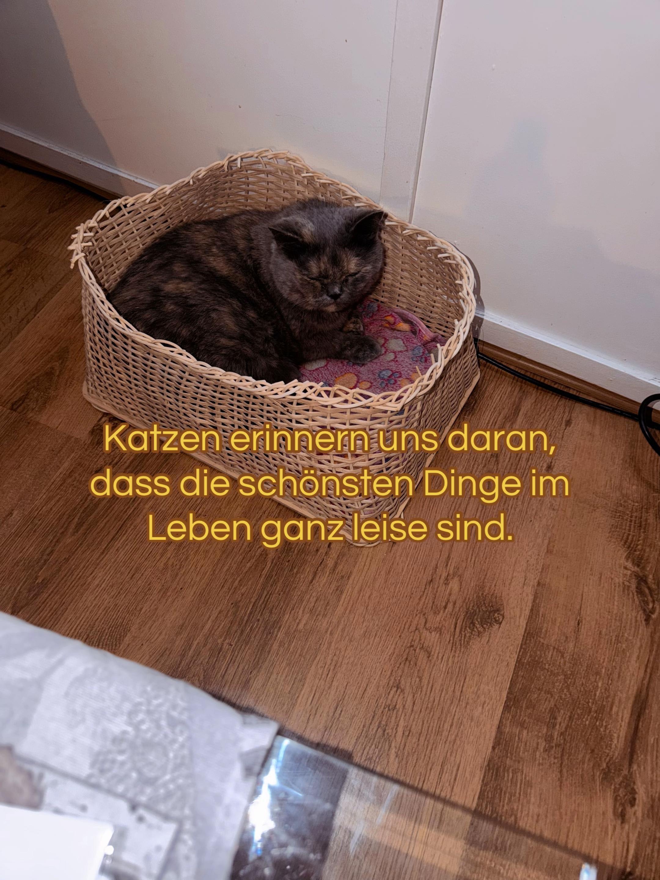 @ᴅɪᴇ_ᴍɪᴛ_ᴅᴇʀ_ʙʀɪʟʟᴇ