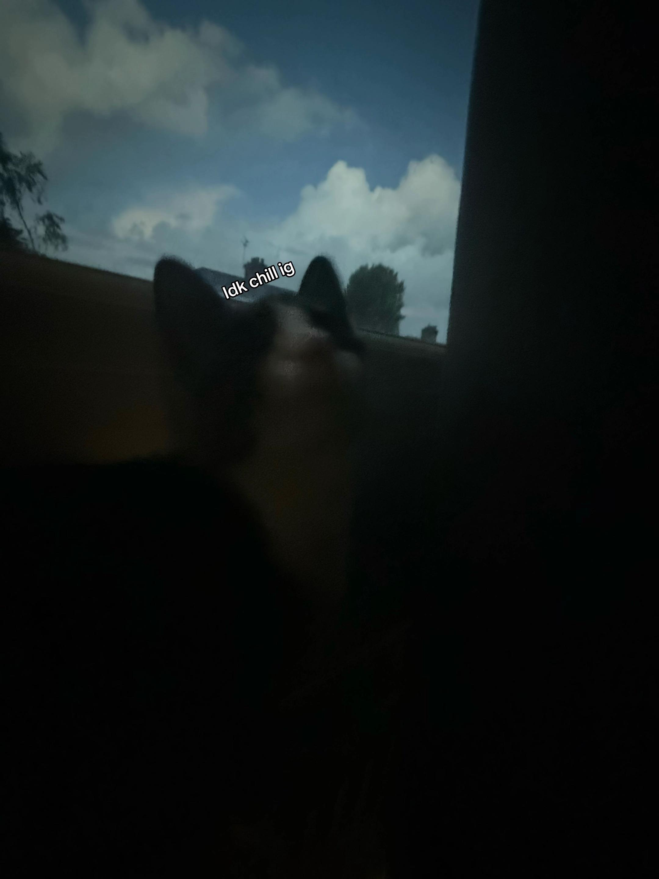 @picklevr