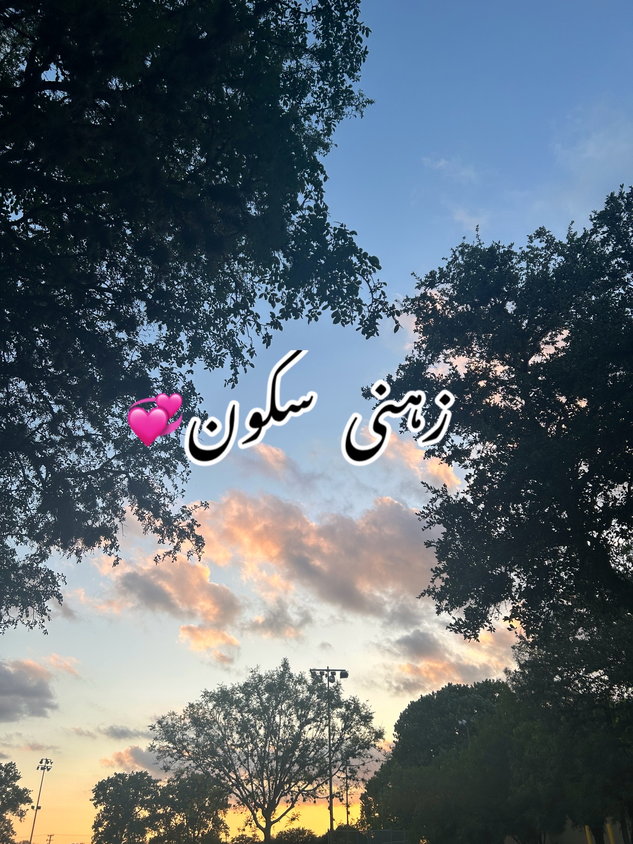 @ZaraHayat020104