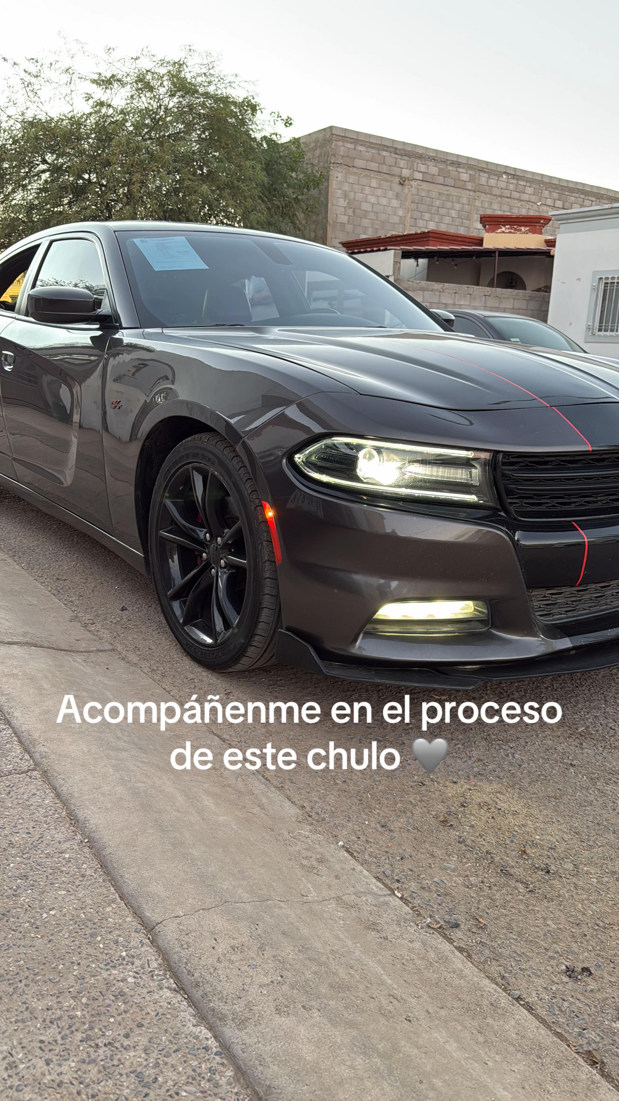 @José Solano