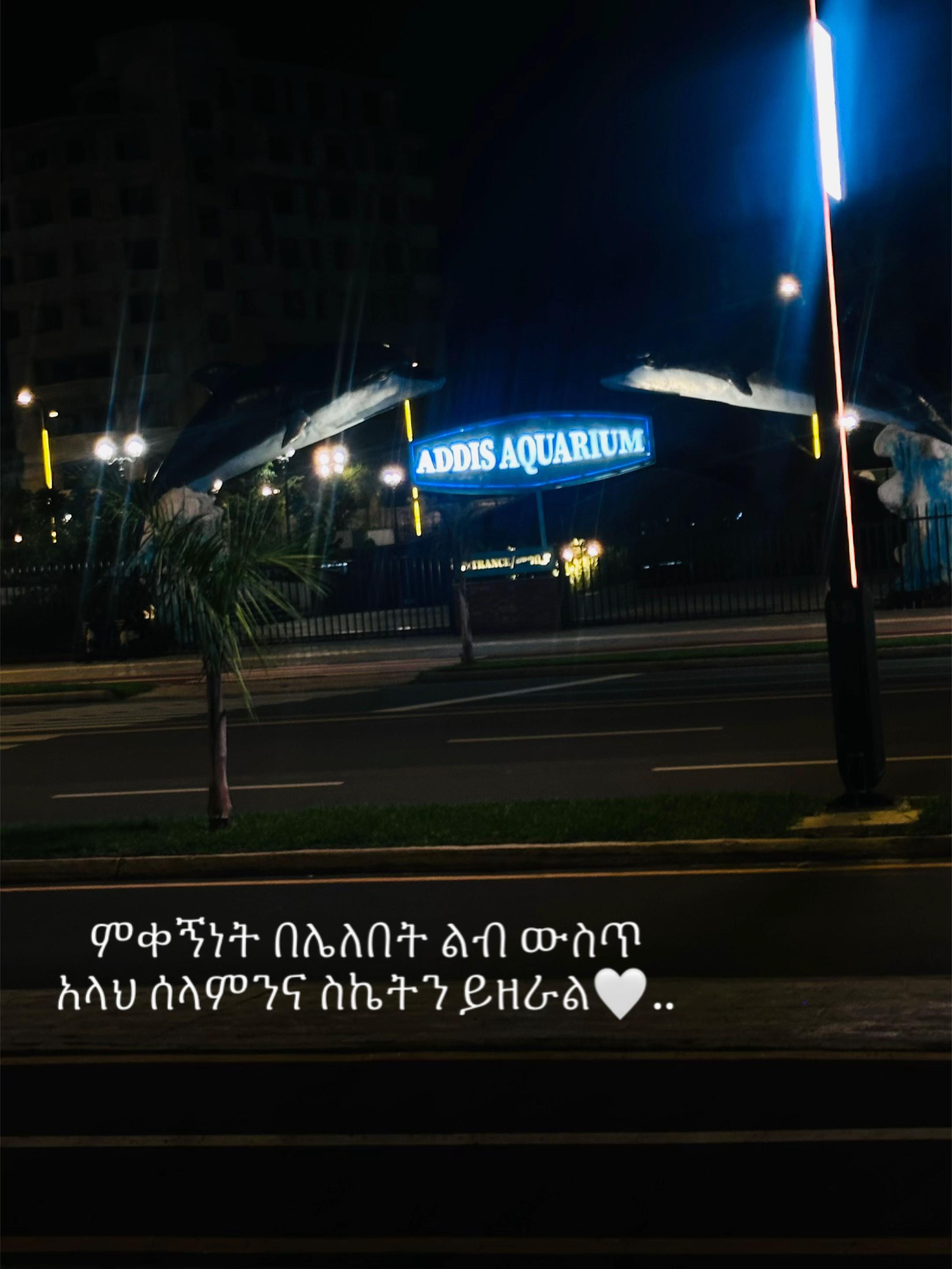 @Han🧸