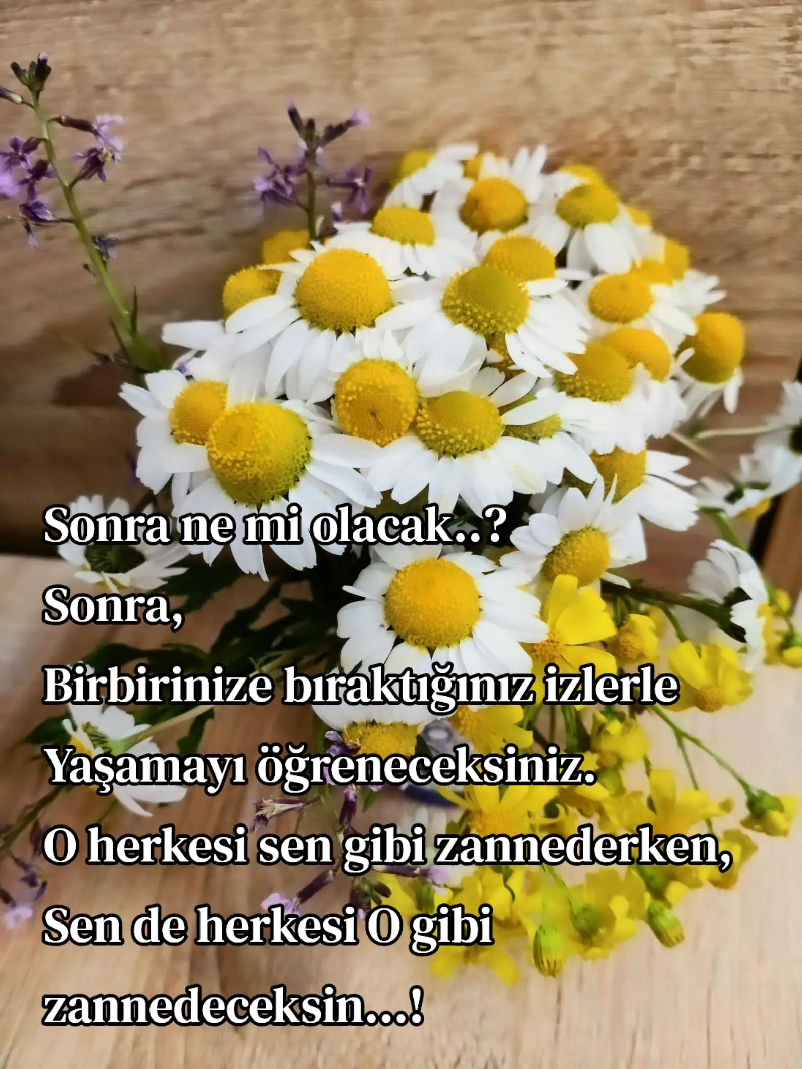 @storling5