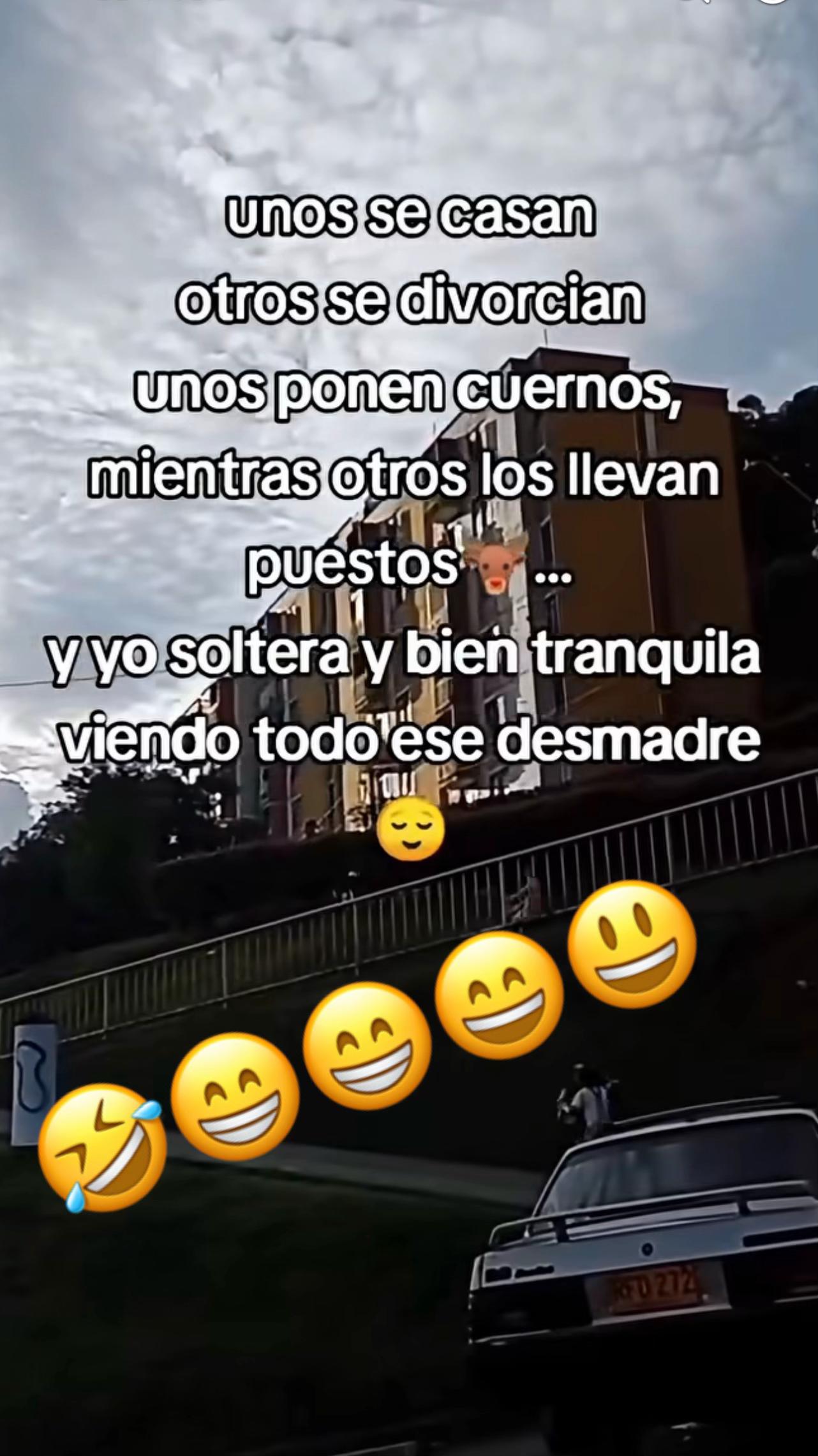 @🐦🔥 AVE FÉNIX 🦂🦖🪴♥️