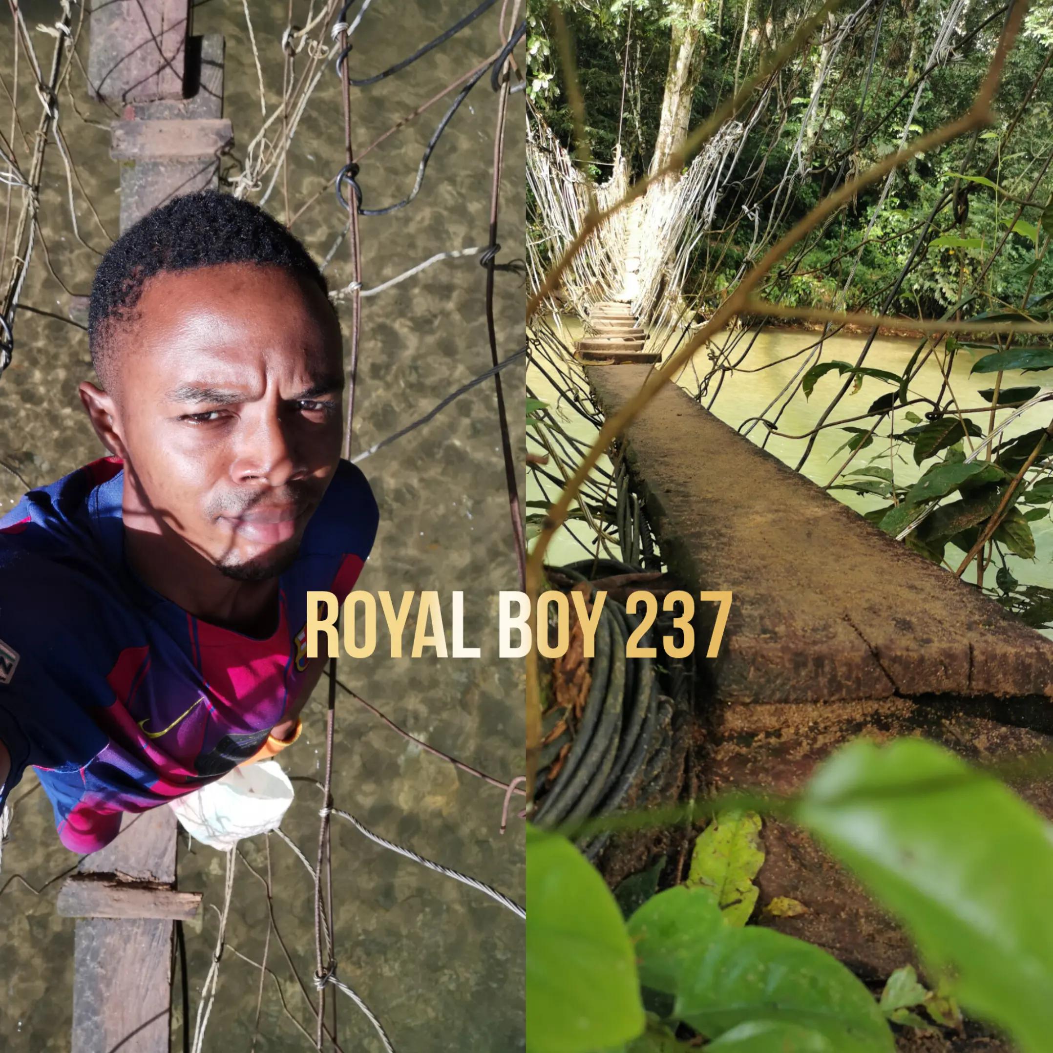 @Royal Boy 237